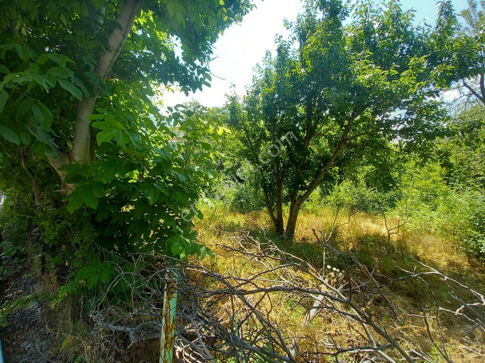 Asil Emlaktan Satılık Ucuzluk Mahallesinde - Görsel 7