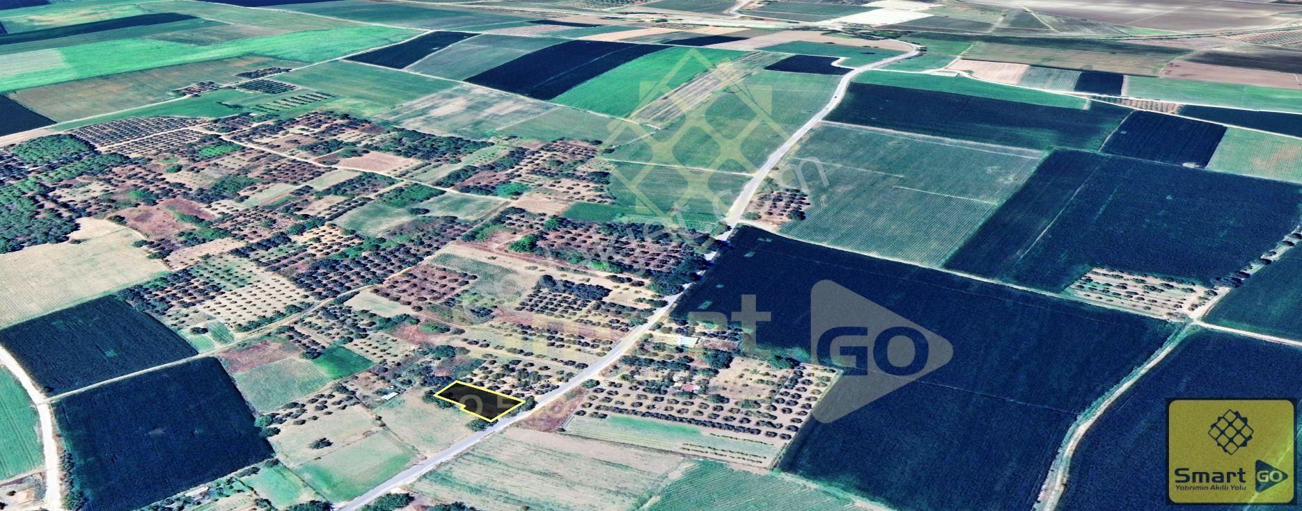 Aksakalda Yola Cephe 700 M² Satılık Bağ - Görsel 8