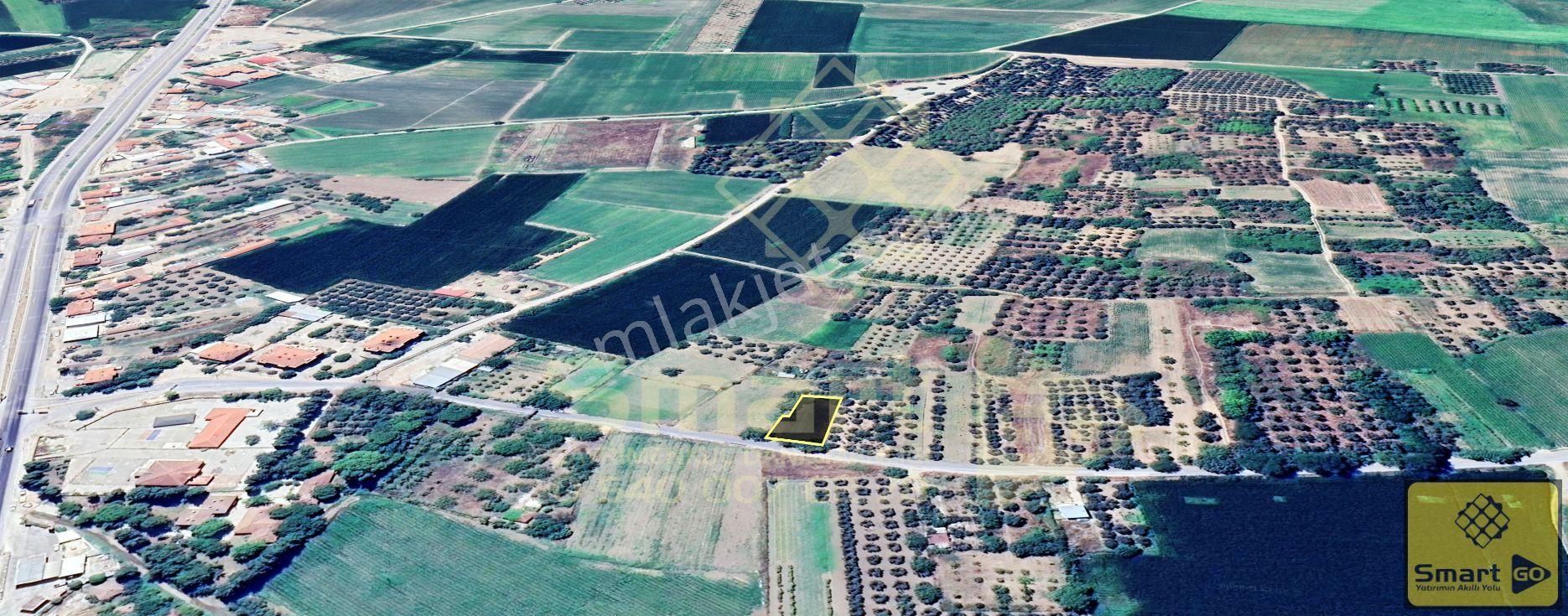 Aksakalda Yola Cephe 700 M² Satılık Bağ - Görsel 29