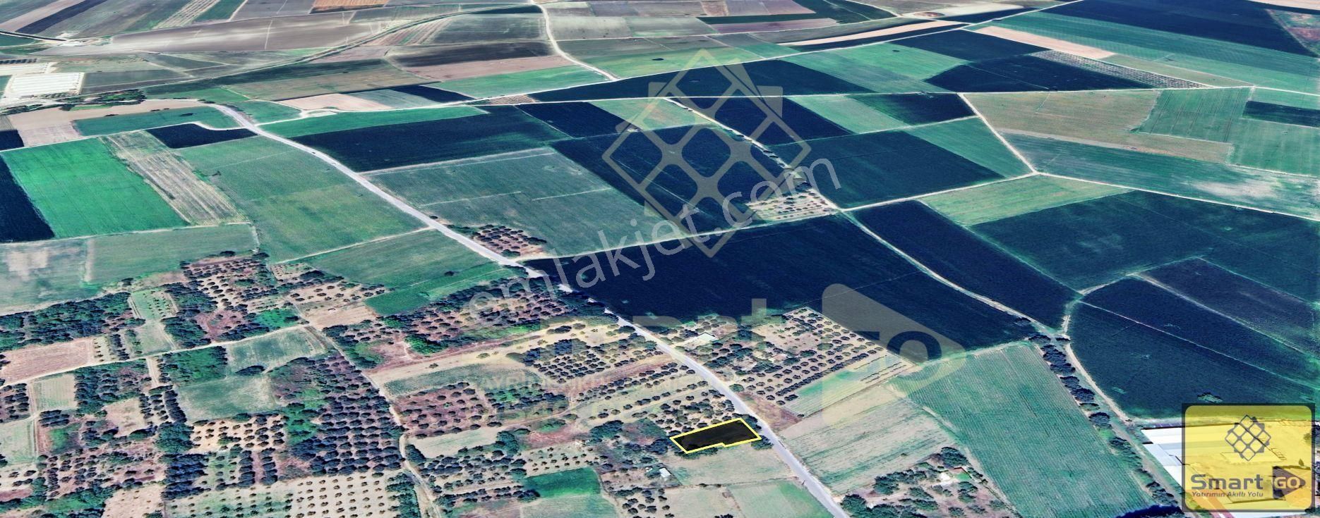 Aksakalda Yola Cephe 700 M² Satılık Bağ - Görsel 12