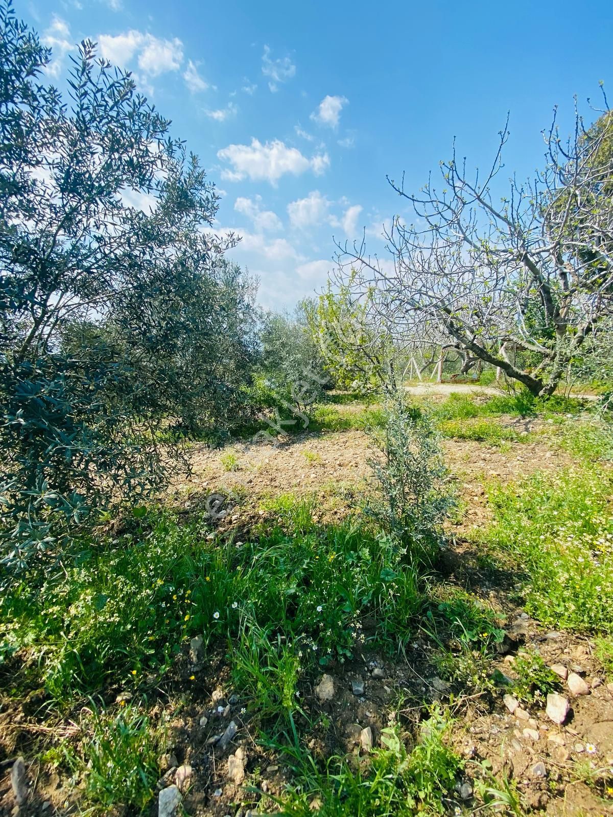 Emlak/tur'dan Manisa Turgutlu Yayla Mahallesi