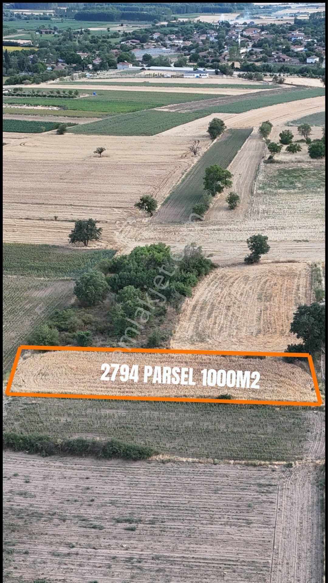 Kırklareli Koyunbaba Köyünde Köye Yakın Bağlık