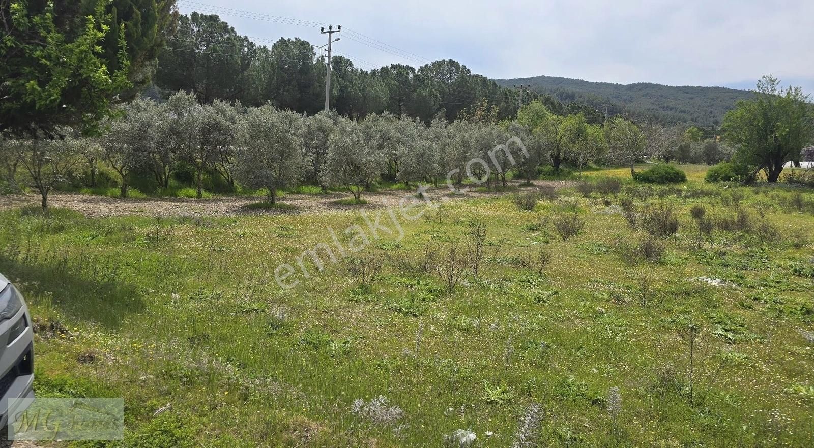 Fethiye Üzümlü İmarlı Arsa