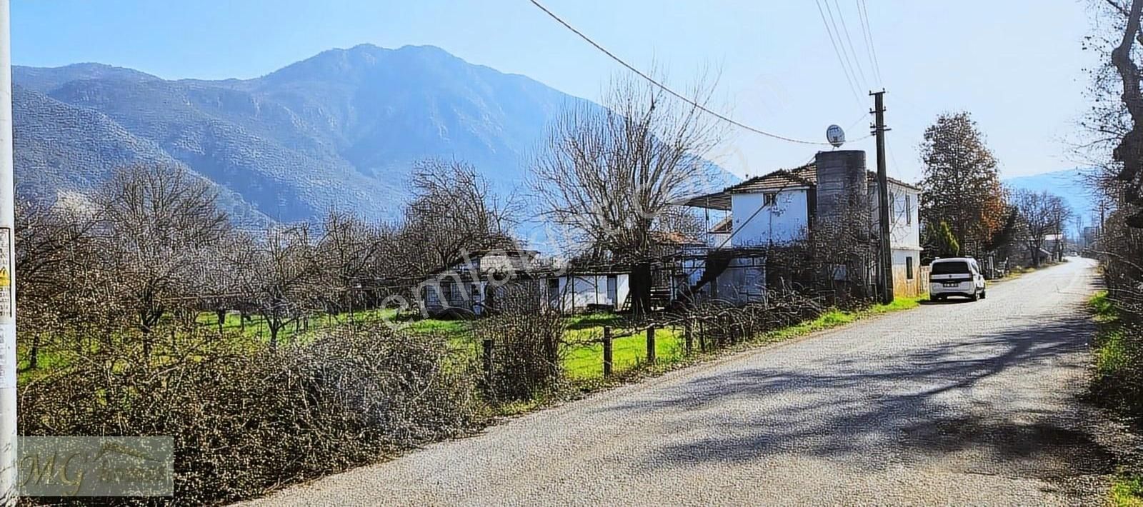Fethiye Yeşil Üzümlüde 7000m2 Tek Tapu Elektirik Suyu Olan Tarla
