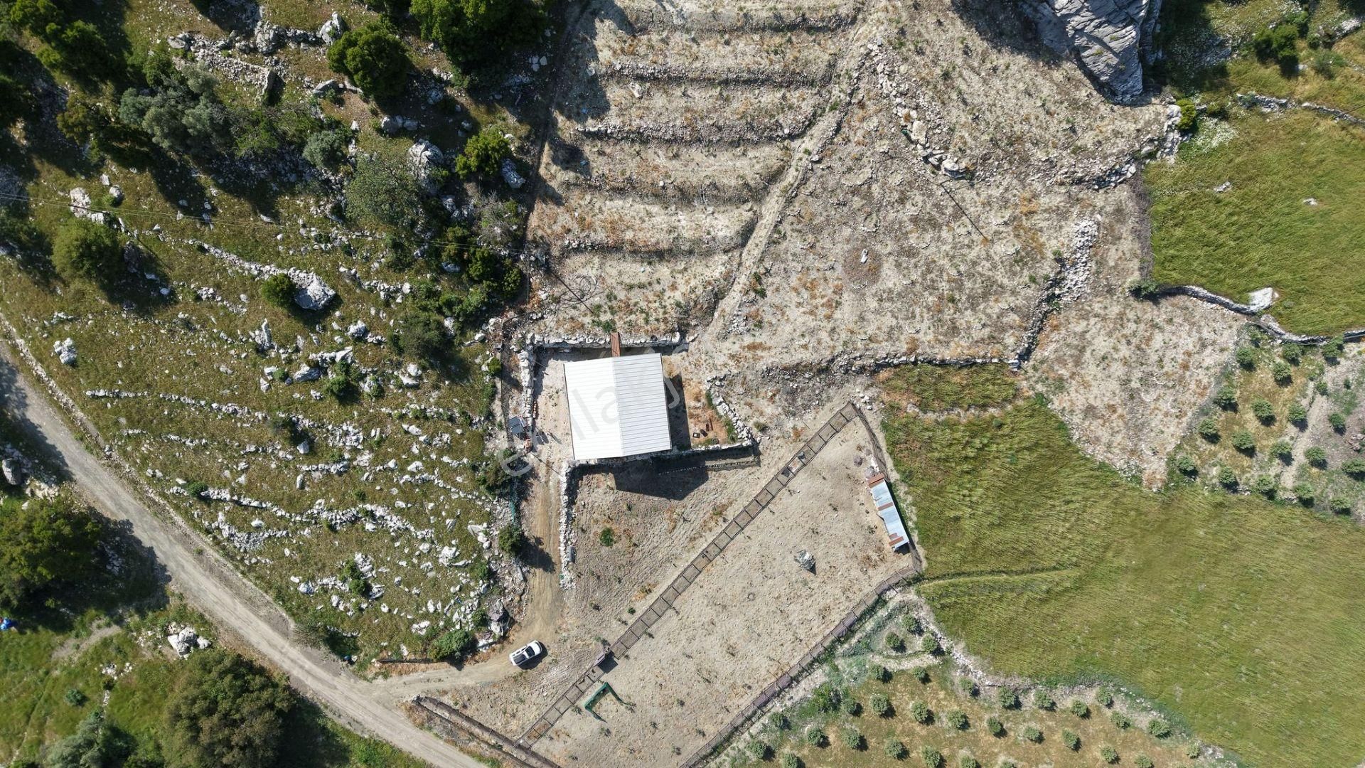 Kumluca İncircik Mahallesinde Satılık Çiftlik-tarla-bahçe - Görsel 13