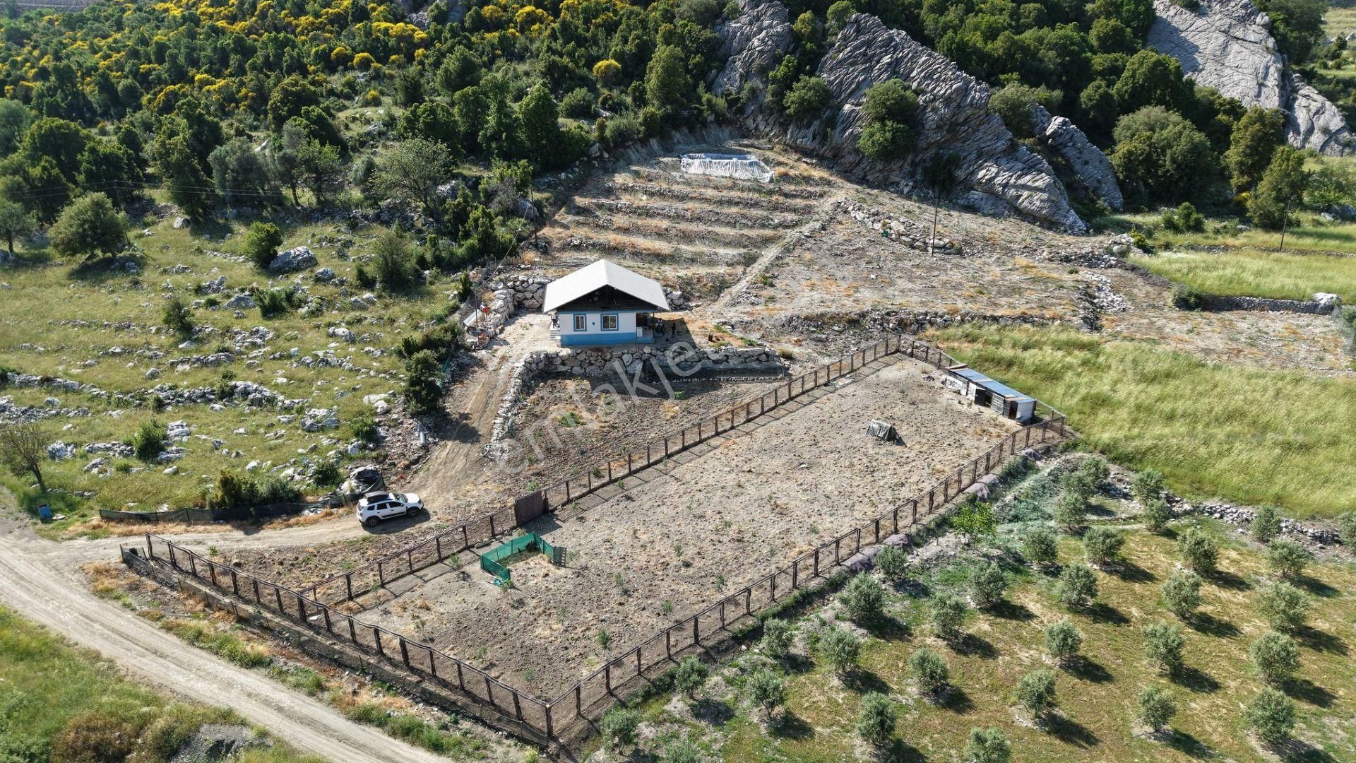 Kumluca İncircik Mahallesinde Satılık Çiftlik-tarla-bahçe - Görsel 14