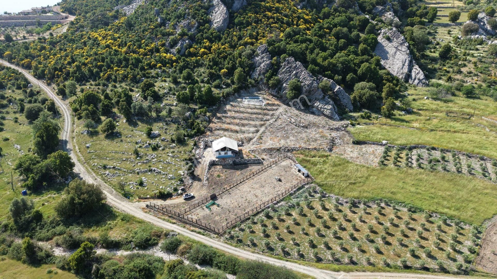 Kumluca İncircik Mahallesinde Satılık Çiftlik-tarla-bahçe - Görsel 15