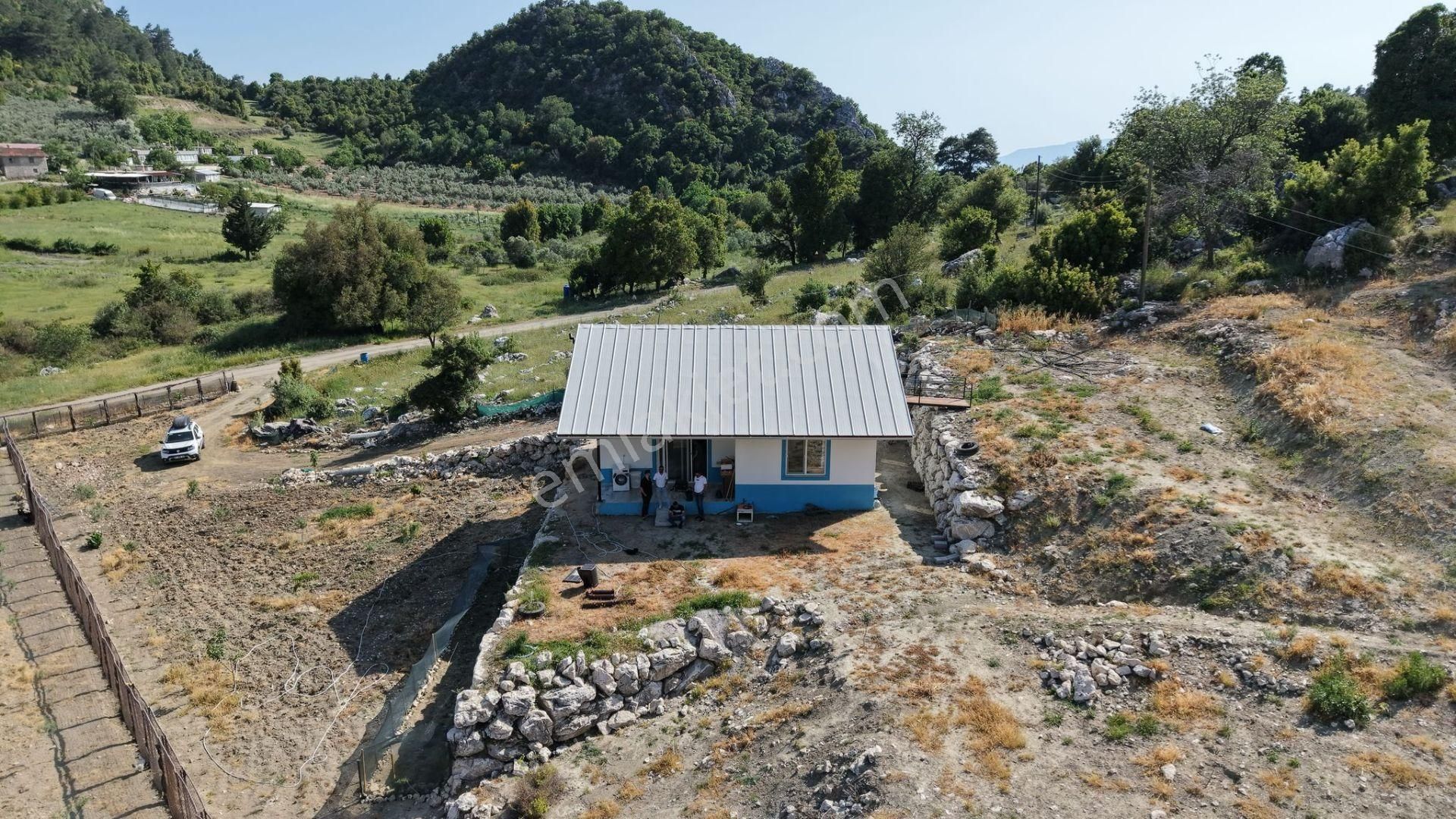 Kumluca İncircik Mahallesinde Satılık Çiftlik-tarla-bahçe - Görsel 6