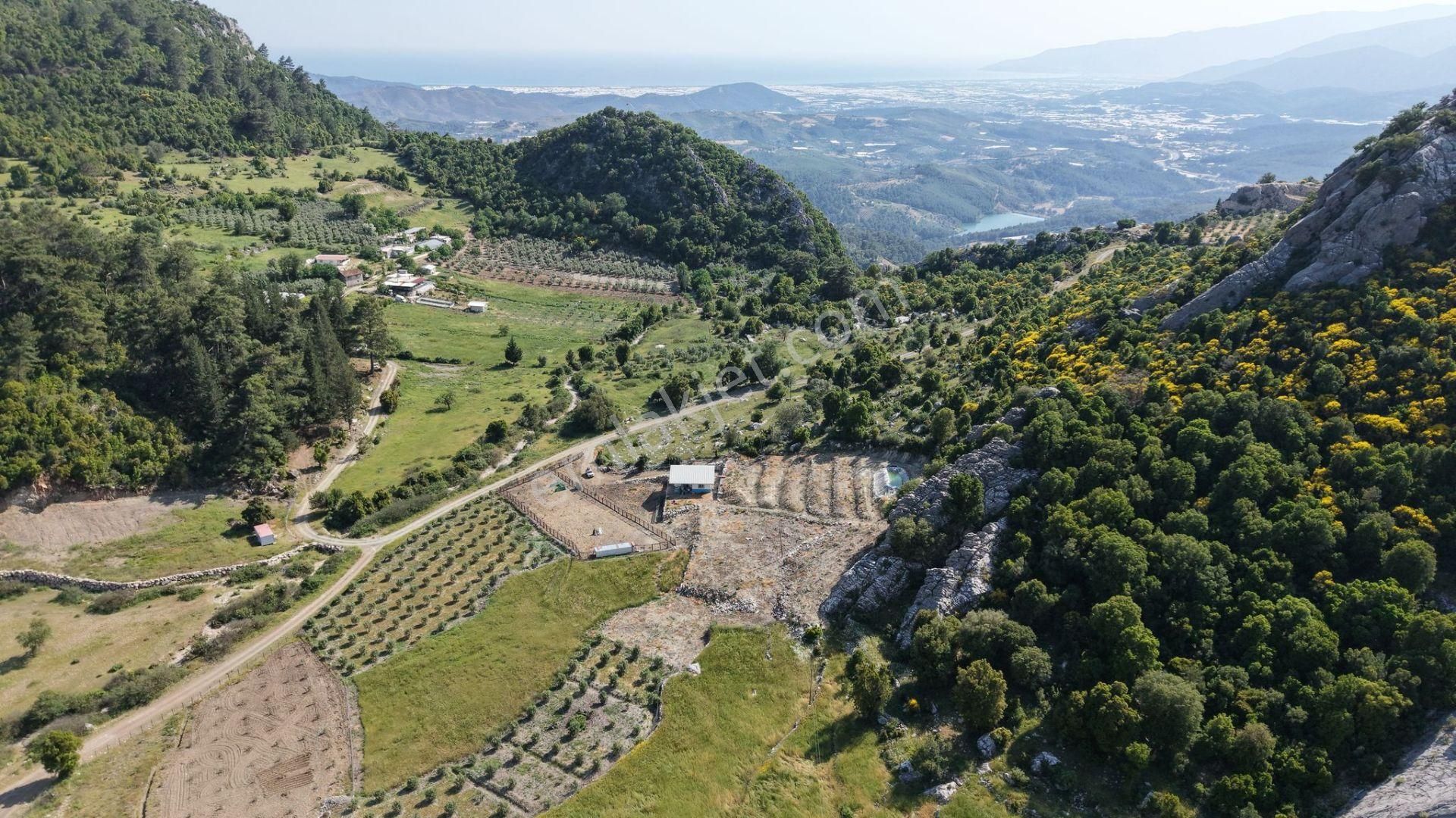 Kumluca İncircik Mahallesinde Satılık Çiftlik-tarla-bahçe - Görsel 9