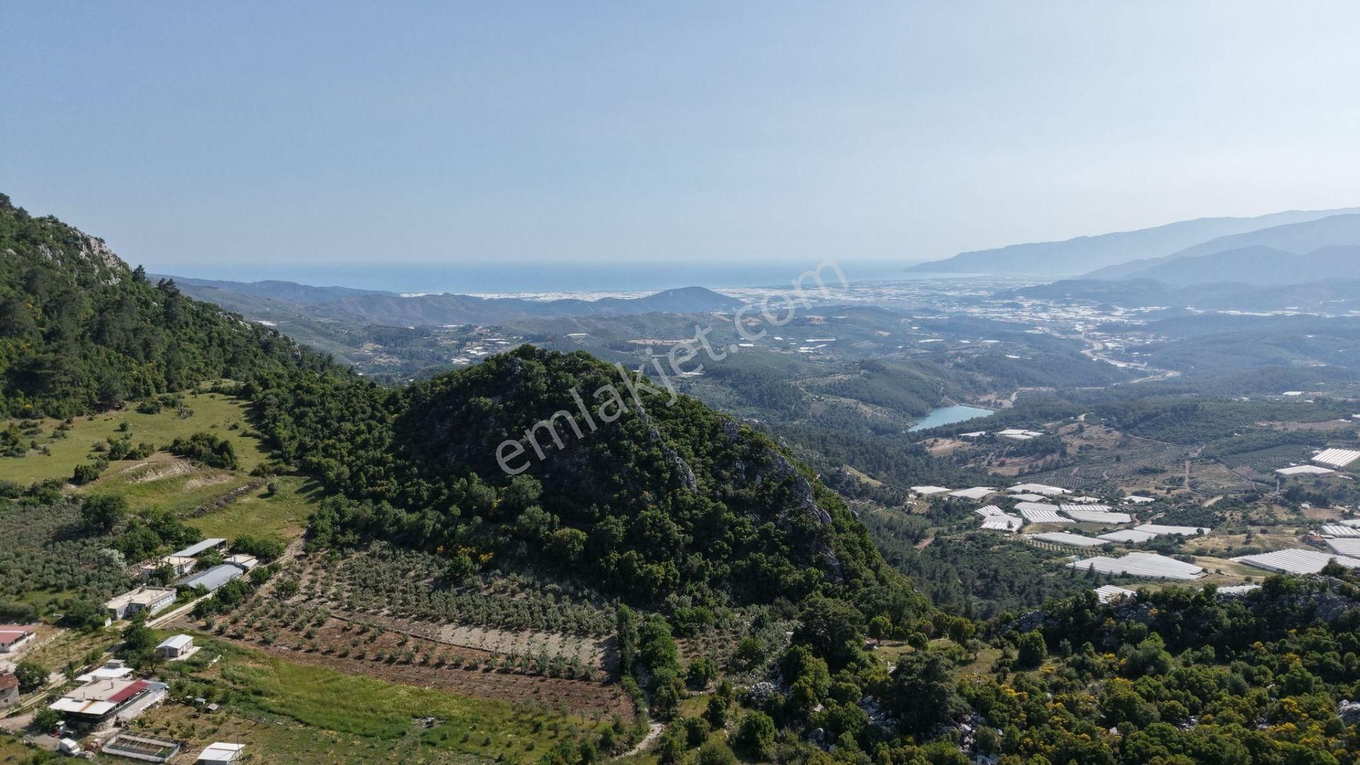 Kumluca İncircik Mahallesinde Satılık Çiftlik-tarla-bahçe - Görsel 12