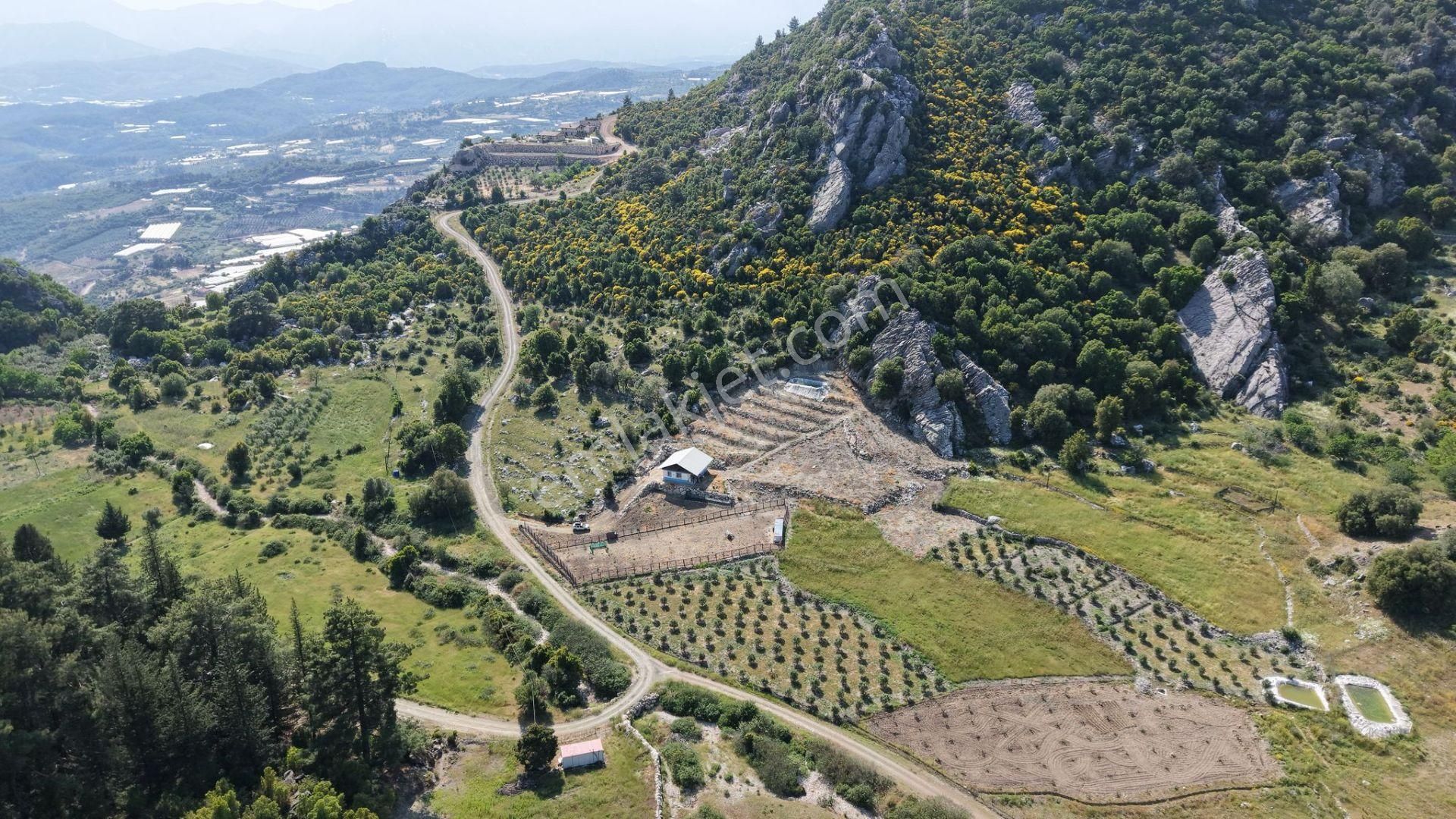 Kumluca İncircik Mahallesinde Satılık Çiftlik-tarla-bahçe - Görsel 7