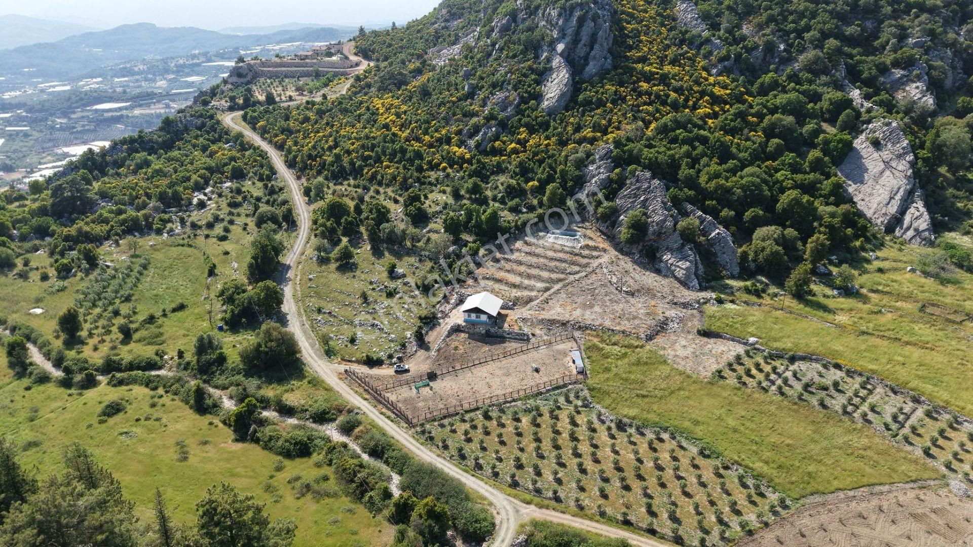 Kumluca İncircik Mahallesinde Satılık Çiftlik-tarla-bahçe - Görsel 17