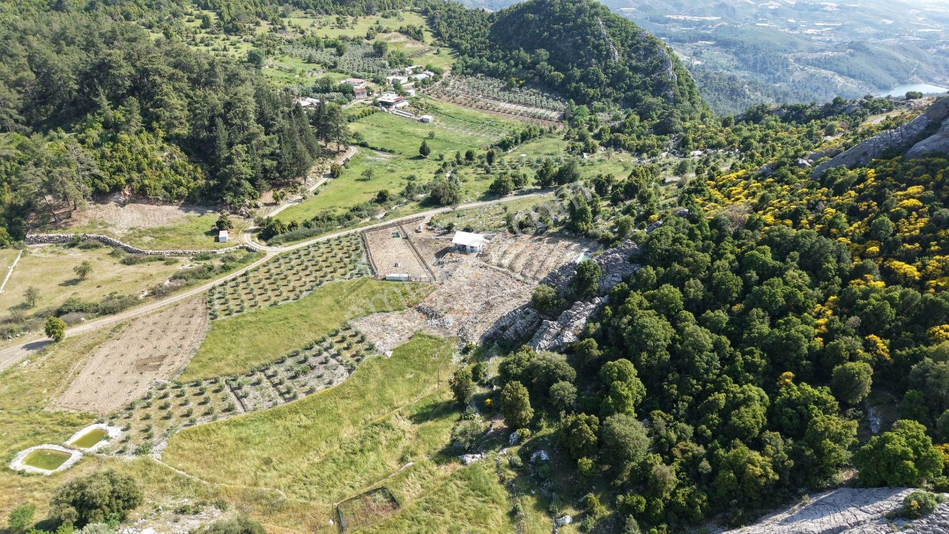Kumluca İncircik Mahallesinde Satılık Çiftlik-tarla-bahçe - Görsel 10
