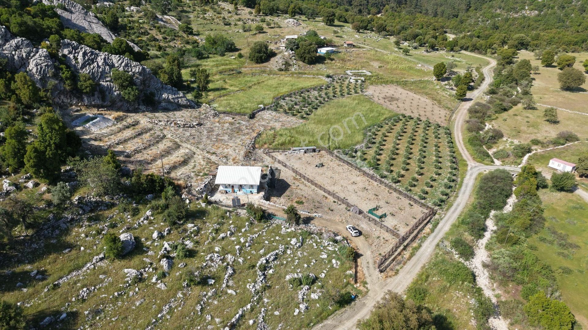 Kumluca İncircik Mahallesinde Satılık Çiftlik-tarla-bahçe - Görsel 2