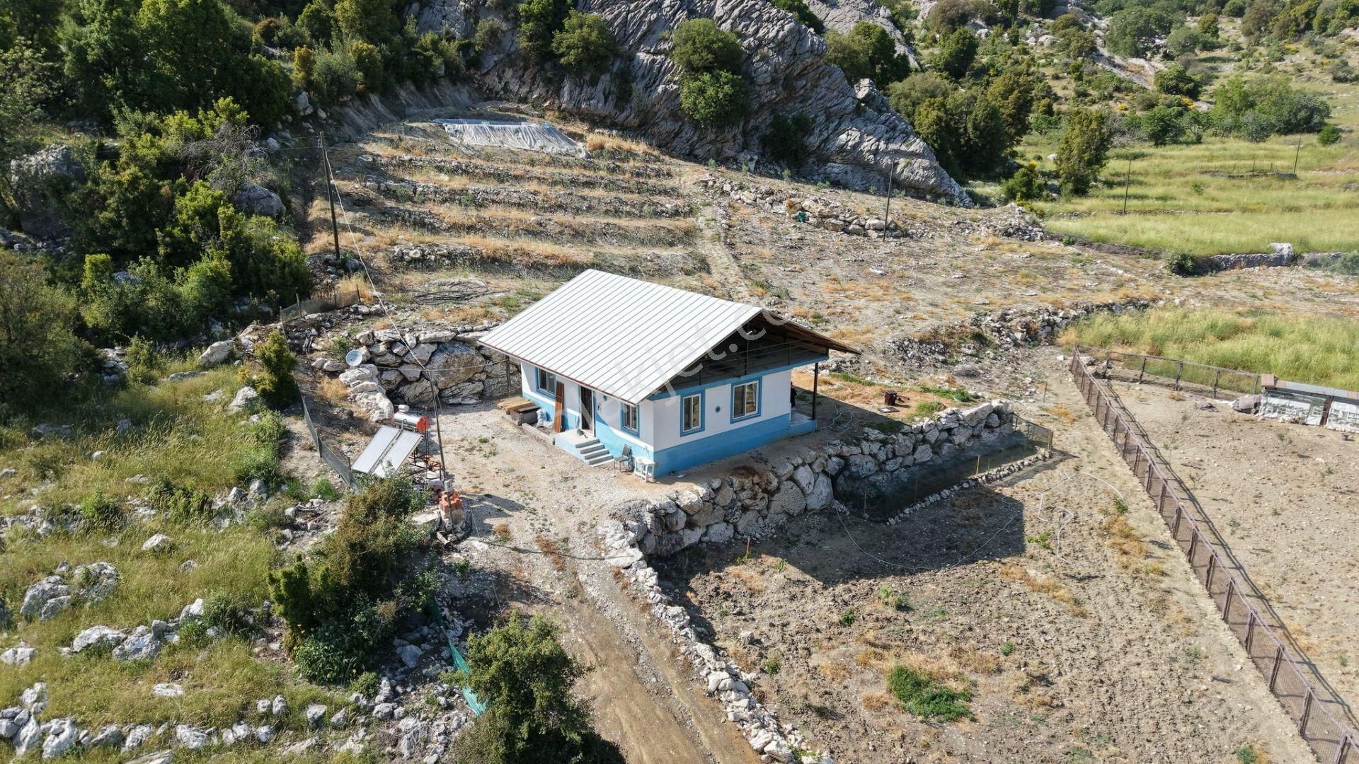 Kumluca İncircik Mahallesinde Satılık Çiftlik-tarla-bahçe - Görsel 4
