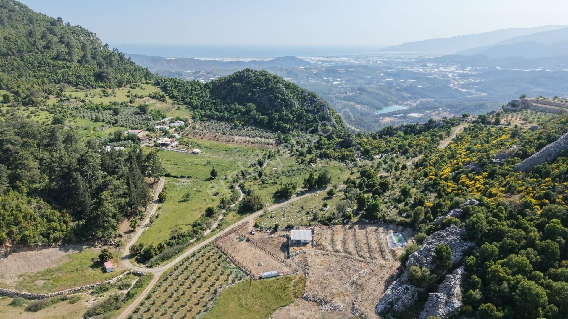 Kumluca İncircik Mahallesinde Satılık Çiftlik-tarla-bahçe - Görsel 19