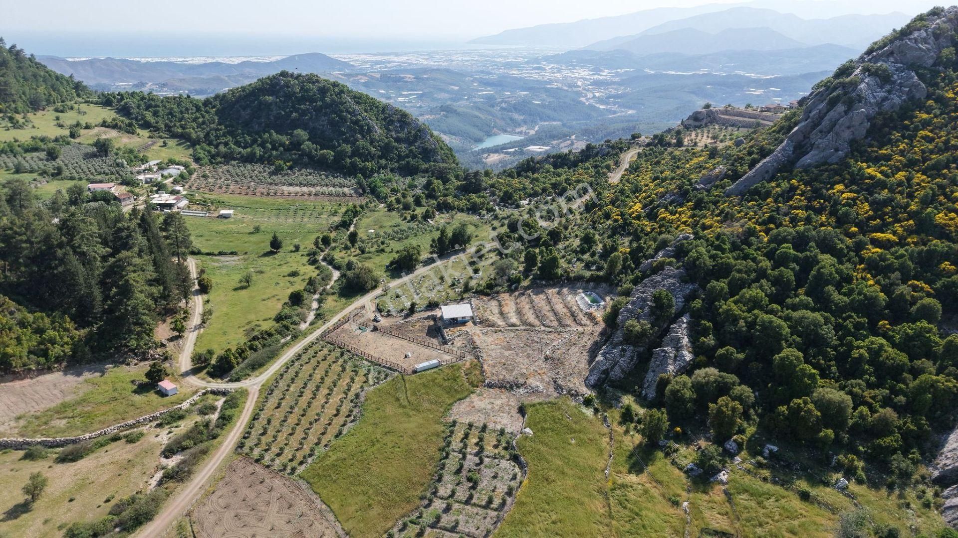 Kumluca İncircik Mahallesinde Satılık Çiftlik-tarla-bahçe - Görsel 8