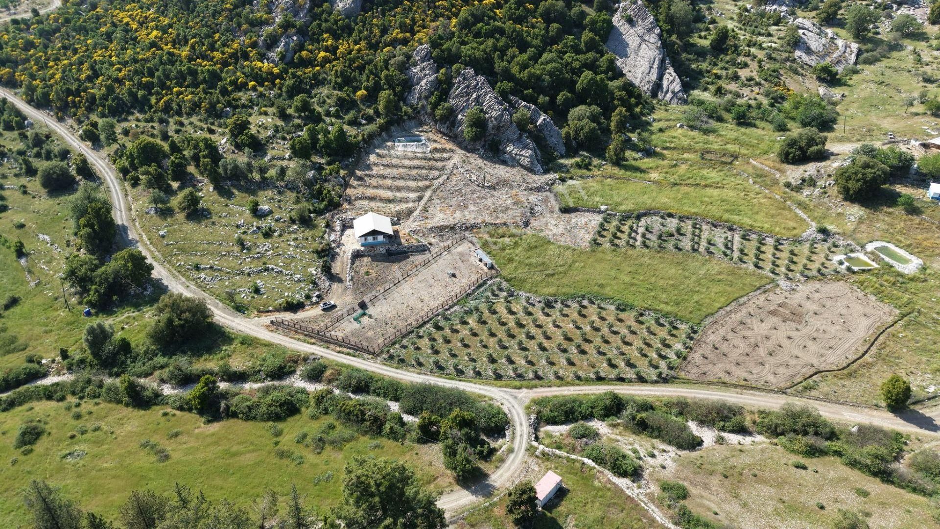 Kumluca İncircik Mahallesinde Satılık Çiftlik-tarla-bahçe - Görsel 16