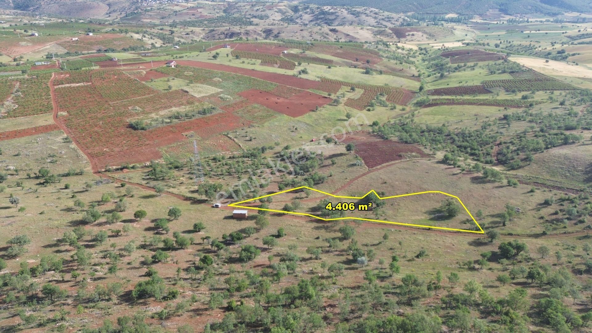 Hadim Aşağıeşenlerde 4.406 M2 Müstakil Tapulu Tarla