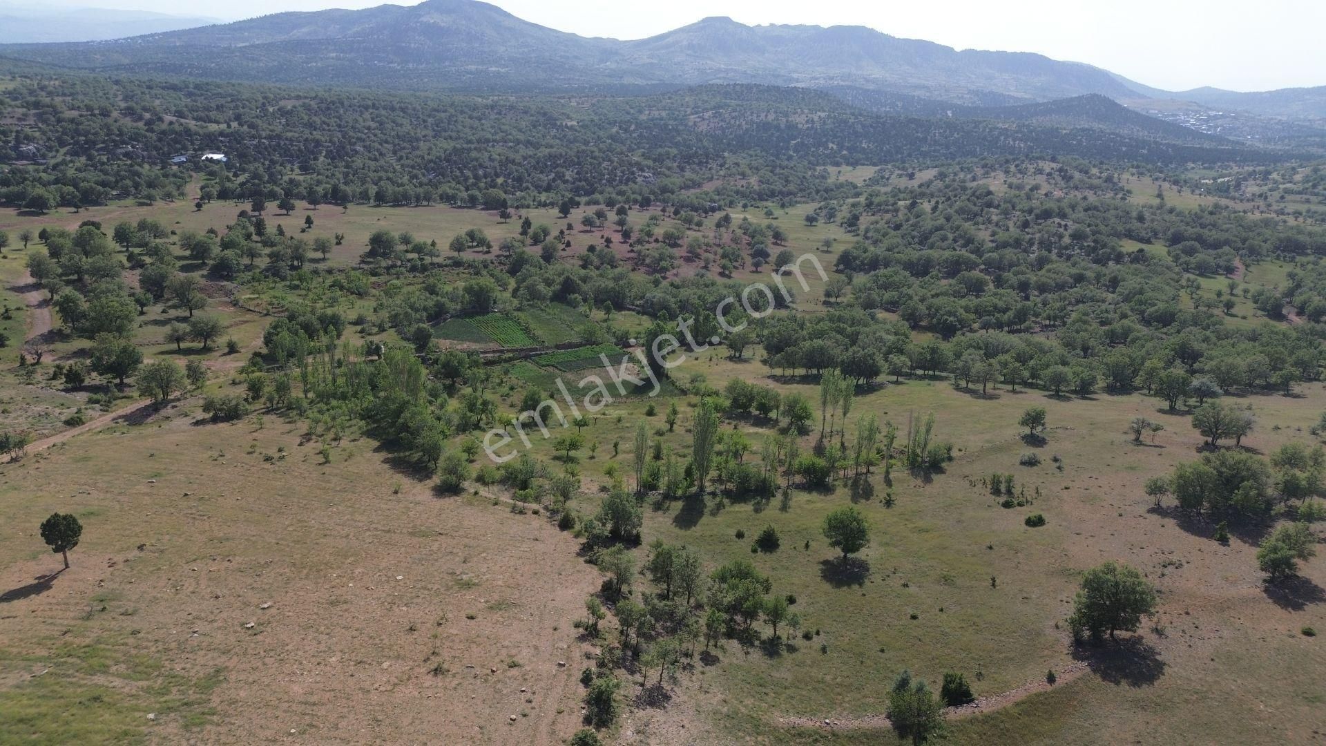 Bozkır Hacılar Da 1.043 M2 Müstakil Tapulu Bahçe