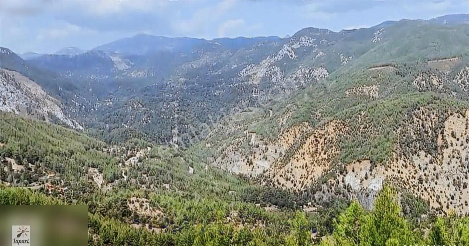 Tapari Den Köyceğiz Otmanlar Da 5368 M2 Satılık Tarla