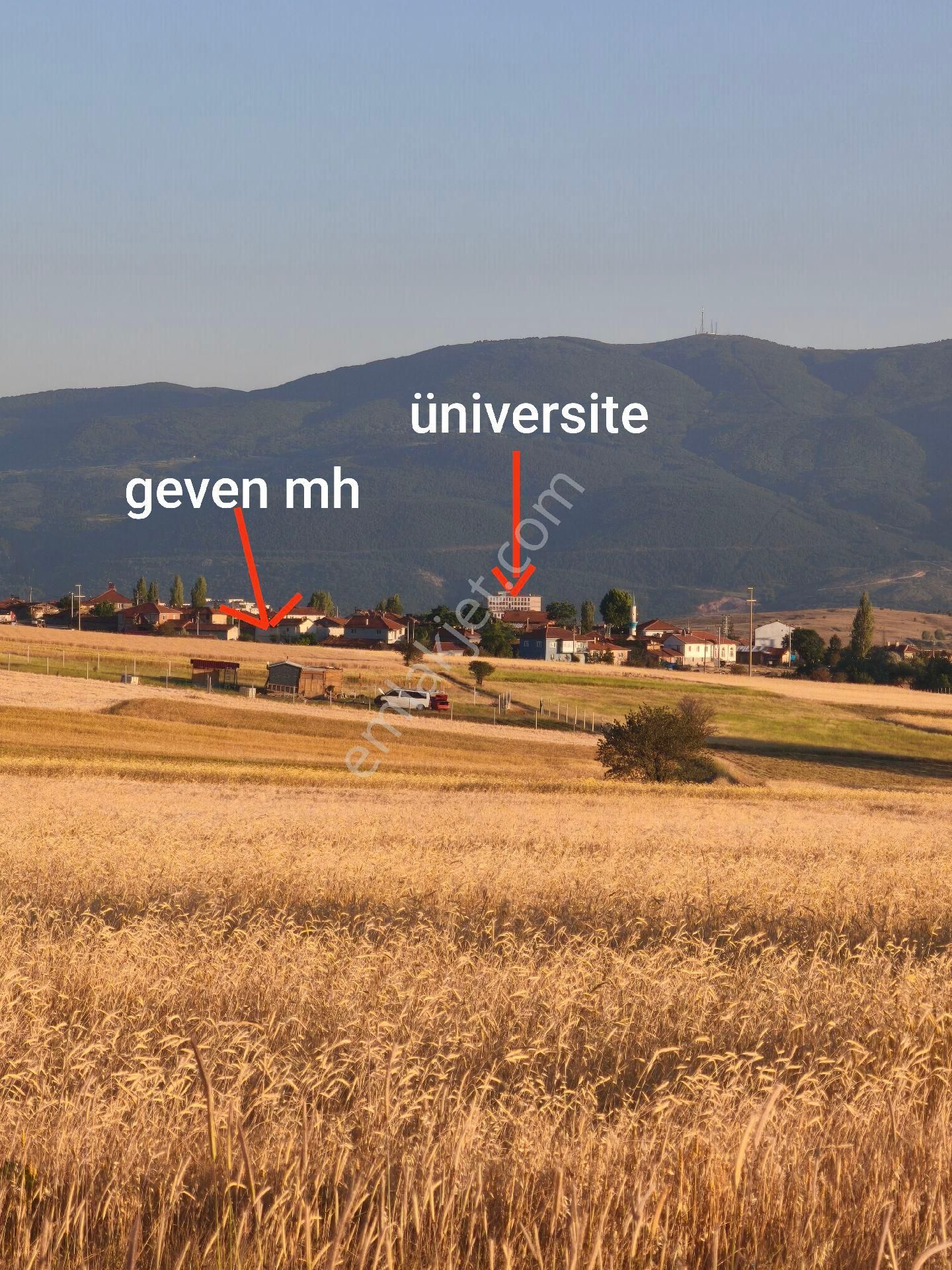 Geven Mahallesi Yatırımlık 1070 M2 Tarla