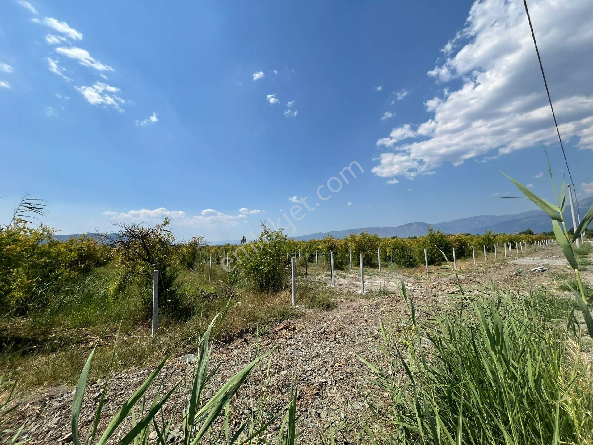 Ortaca Tepearasında 4.250m2 Satılık Fırsat Nar Bahçesi