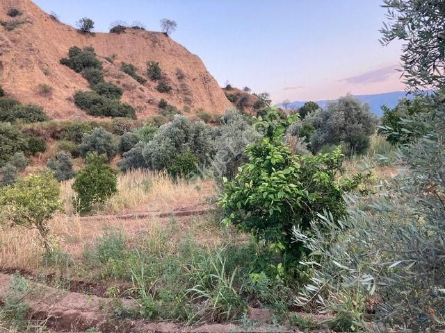 Nazilli Yalınkuyu Yakını Hobi Bahçesi 2,200 M2 - Görsel 10