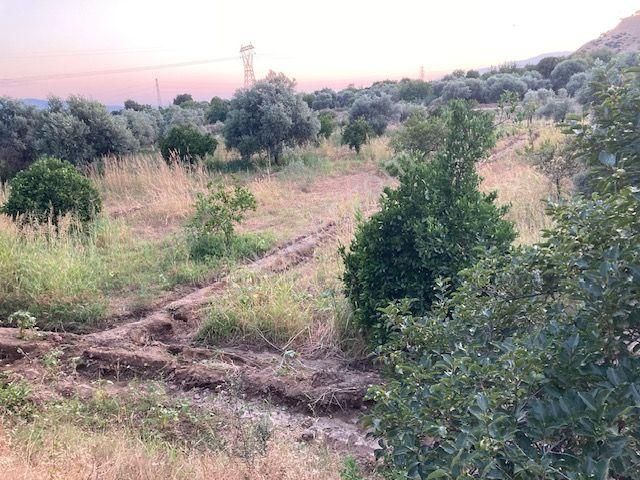 Nazilli Yalınkuyu Yakını Hobi Bahçesi 2,200 M2 - Görsel 9