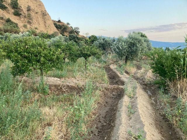 Nazilli Yalınkuyu Yakını Hobi Bahçesi 2,200 M2 - Görsel 3