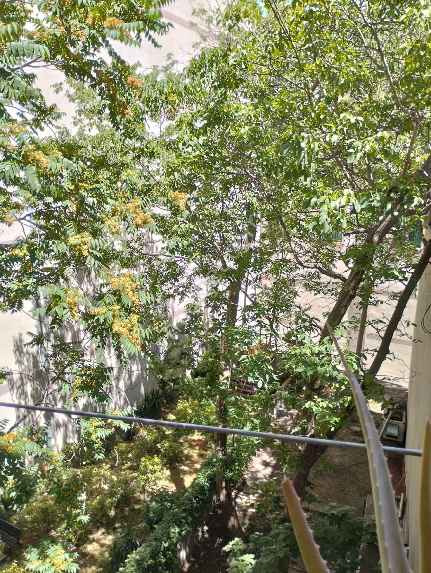 Halaskargazi Caddede. 1. Kat İşyerine 170 M2