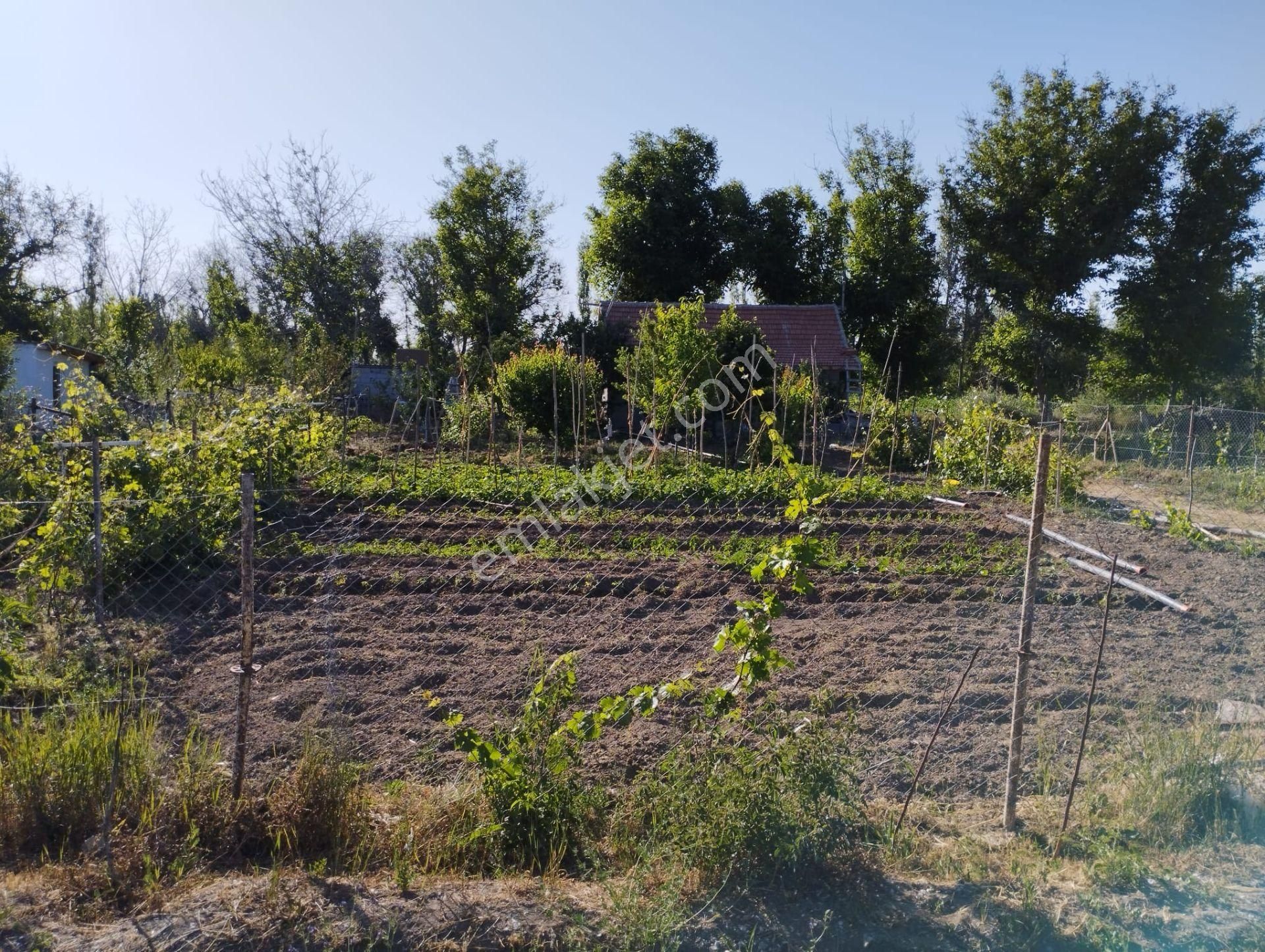 Halkapınar Yolunda 1300 M2 Kuyulu Satılık Bahçeli Müstakil - Görsel 13