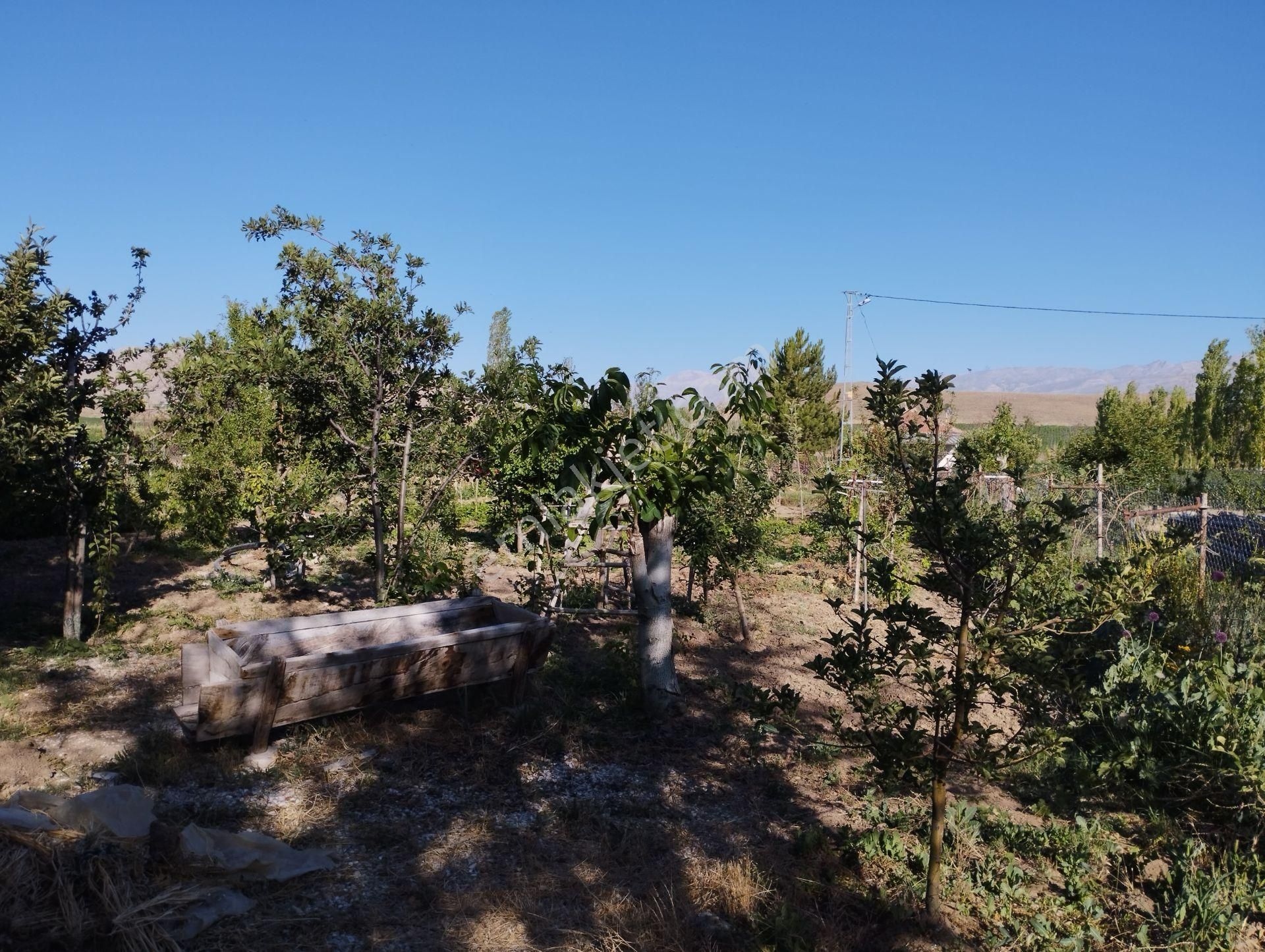 Halkapınar Yolunda 1300 M2 Kuyulu Satılık Bahçeli Müstakil - Görsel 2