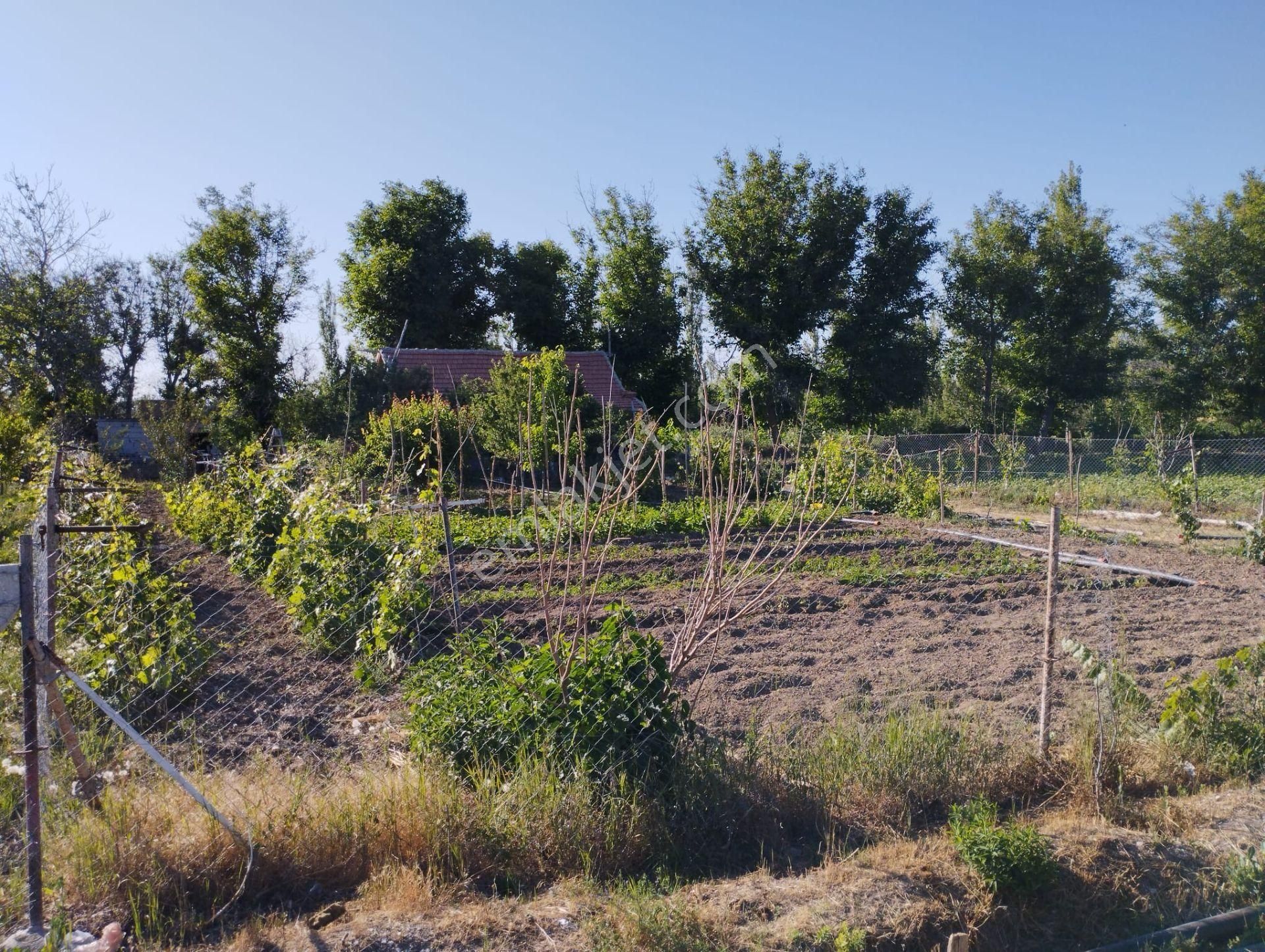 Halkapınar Yolunda 1300 M2 Kuyulu Satılık Bahçeli Müstakil - Görsel 10