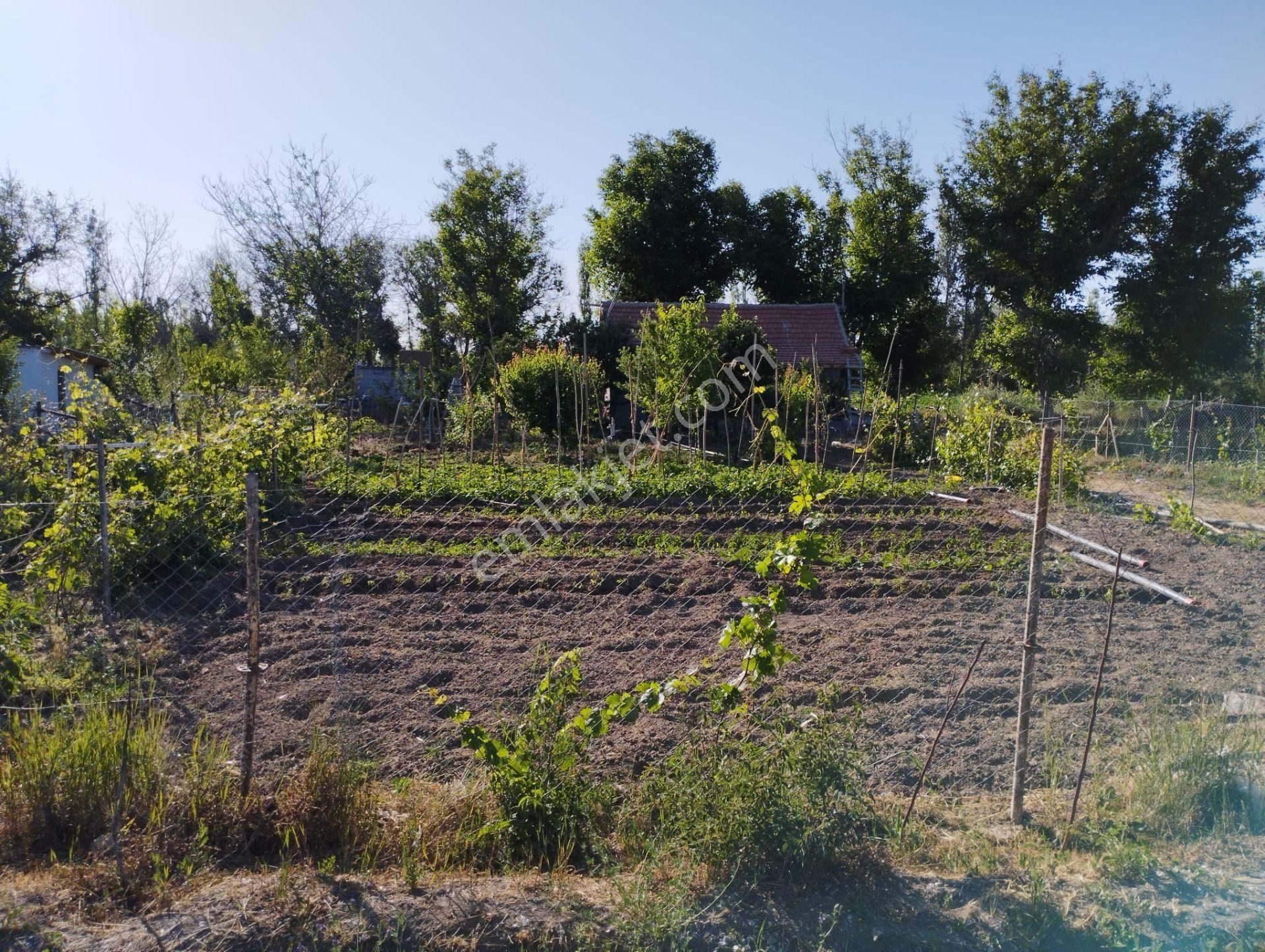 Halkapınar Yolunda 1300 M2 Kuyulu Satılık Bahçeli Müstakil - Görsel 14