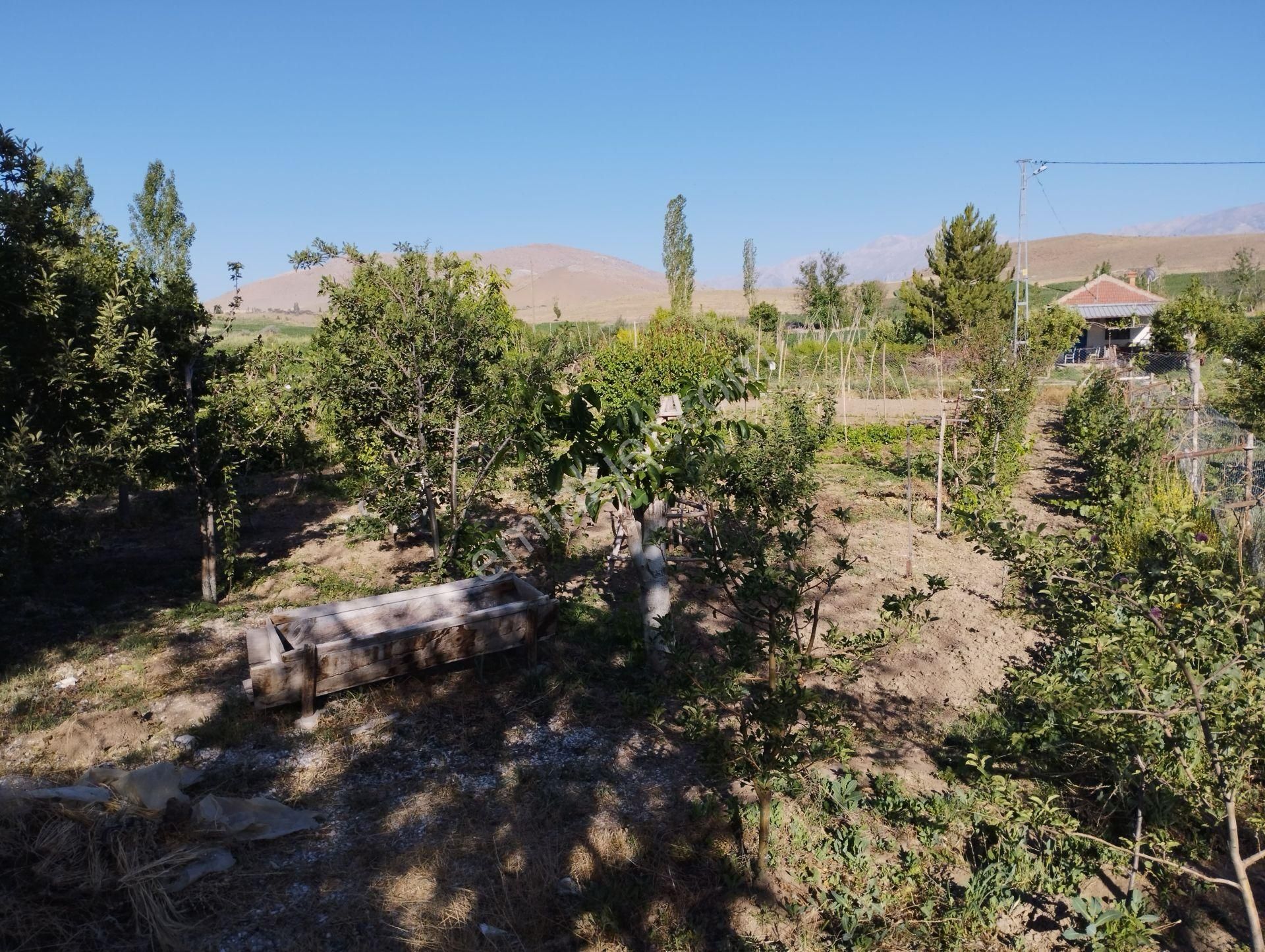 Halkapınar Yolunda 1300 M2 Kuyulu Satılık Bahçeli Müstakil - Görsel 4