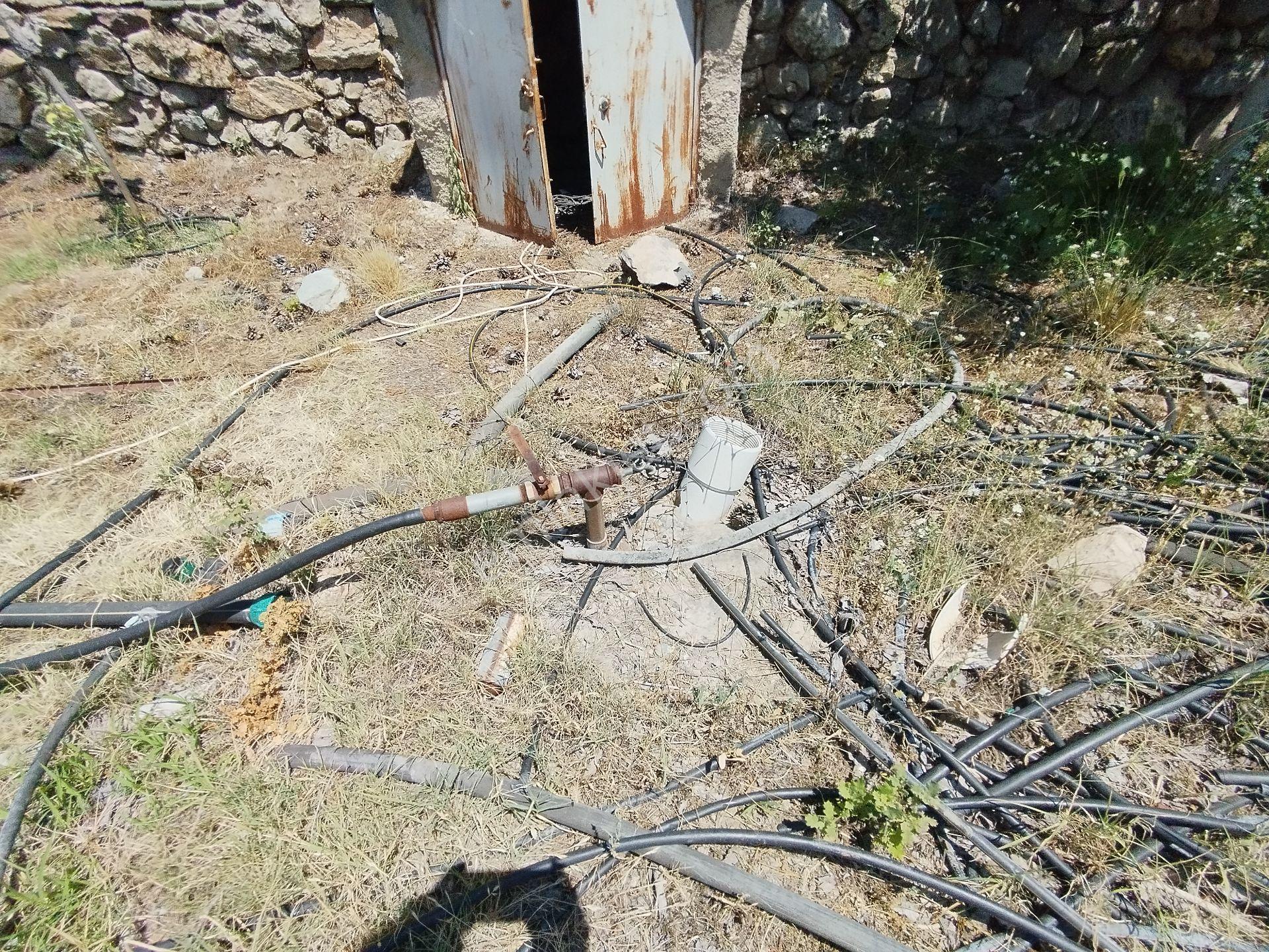 Denizli Cankurtaran Mah.içinde 400 Yetişkin Cevizi,binası Su Havuzu Ve Derin Sontajı Olan Bahçe - Görsel 6