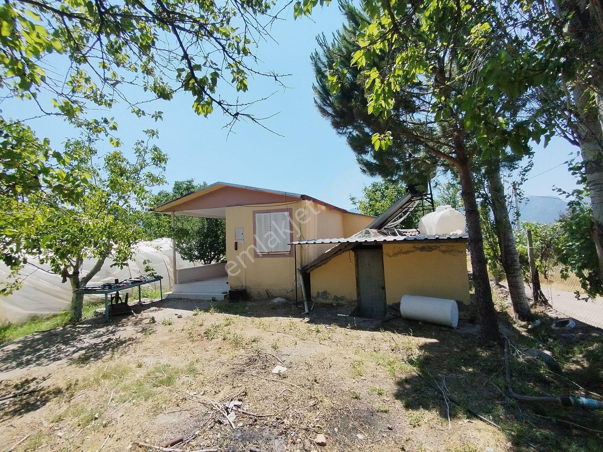 Denizli Cankurtaran Mah.içinde 400 Yetişkin Cevizi,binası Su Havuzu Ve Derin Sontajı Olan Bahçe - Görsel 13