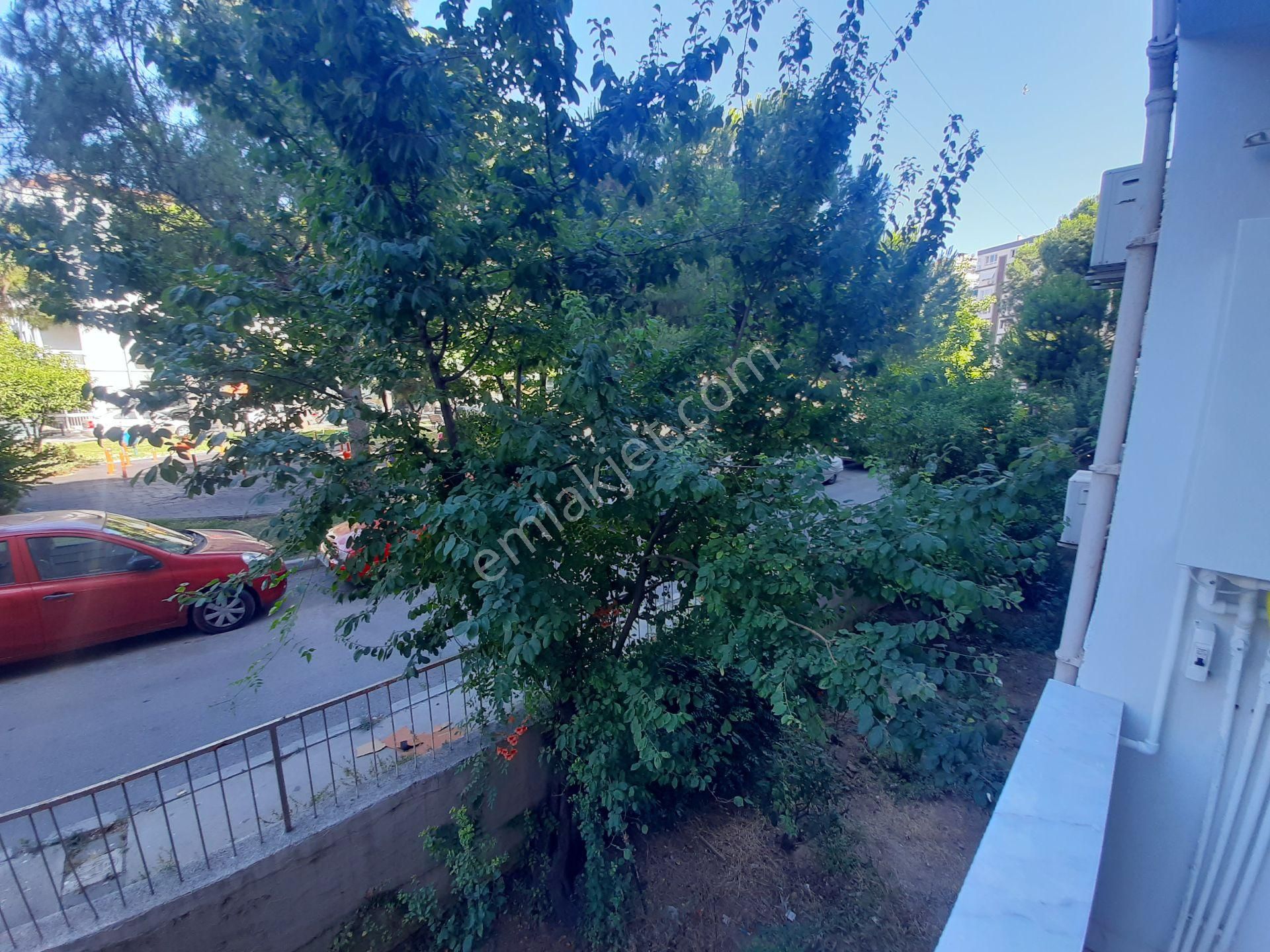 Üçkuyular Da Mevki Yerde Park Karşısı 3+1 Full Yapılı Satılık Daire - Görsel 20