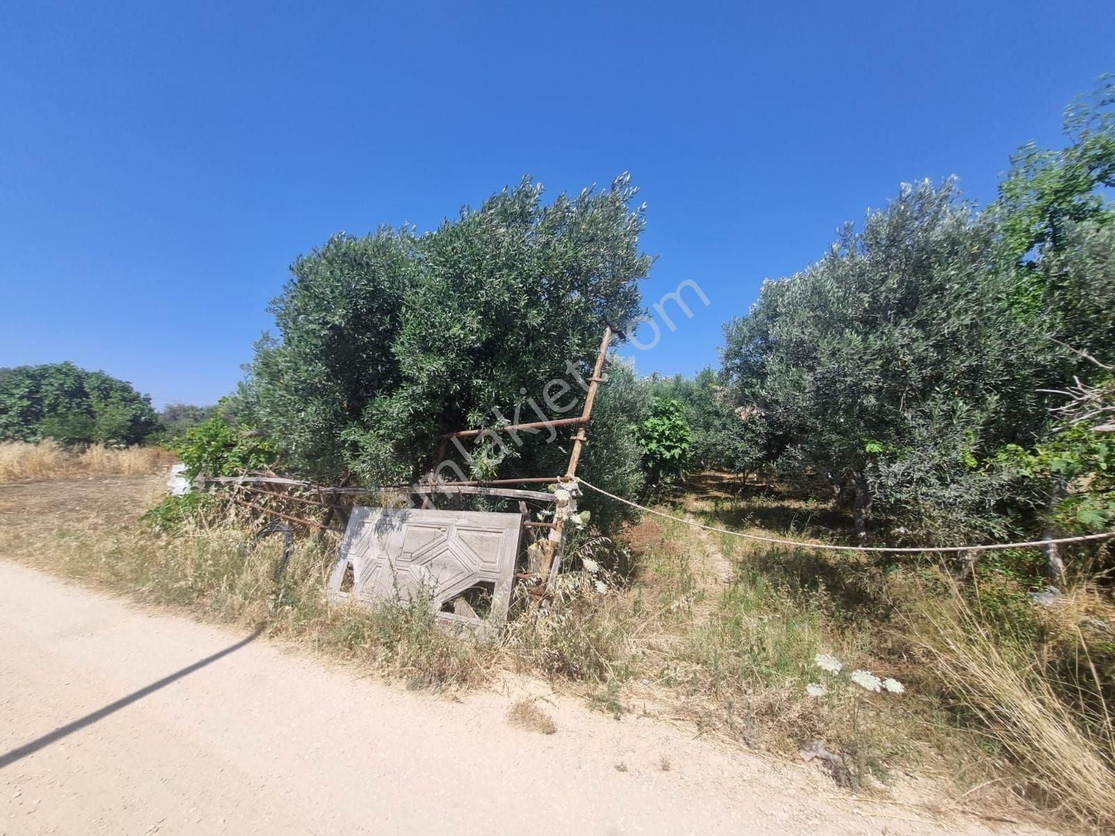 Doğayla İç İçe, Yatırıma Uygun Arsa Urla Çamlıçayda Fırsat! - Görsel 5