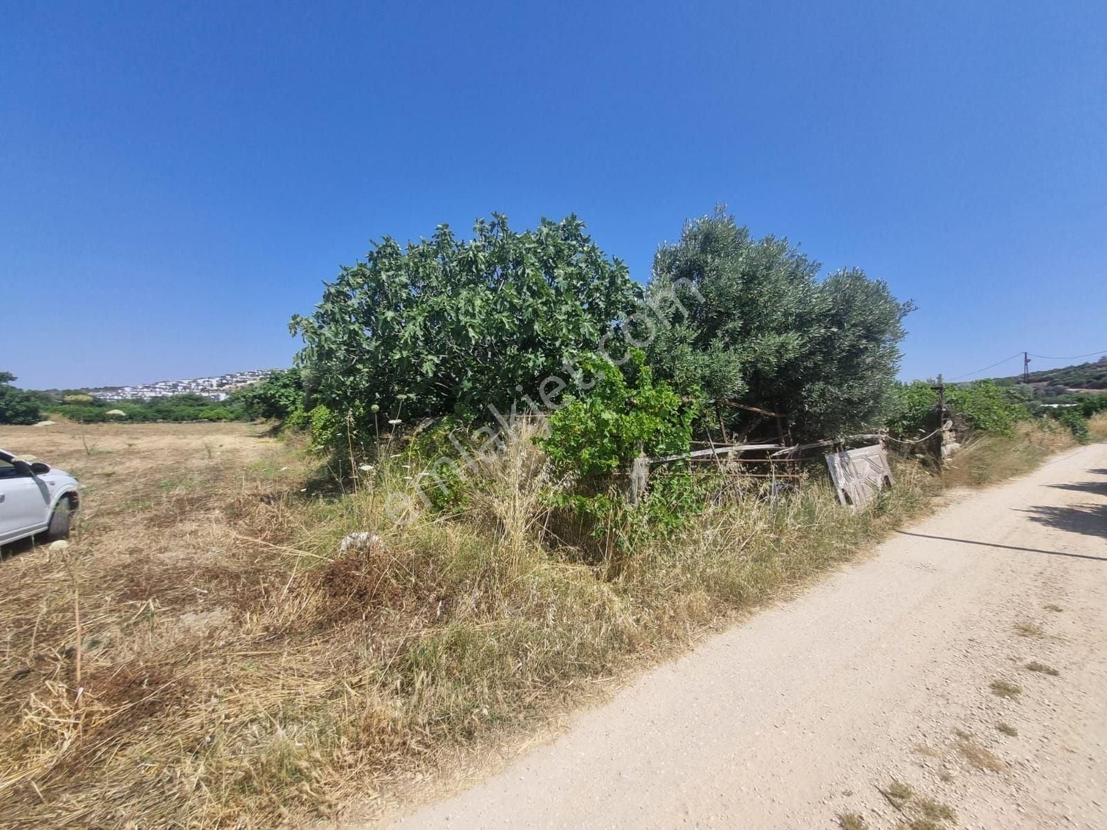 Doğayla İç İçe, Yatırıma Uygun Arsa Urla Çamlıçayda Fırsat! - Görsel 3