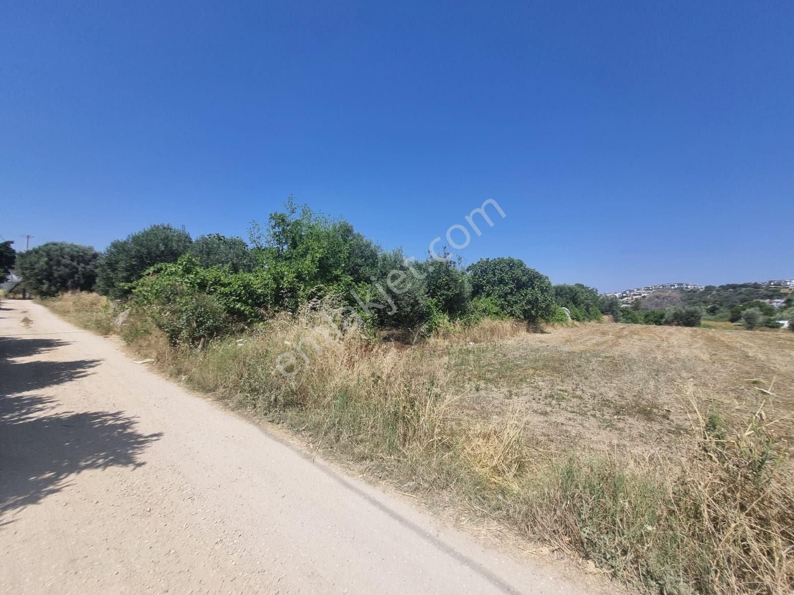 Doğayla İç İçe, Yatırıma Uygun Arsa Urla Çamlıçayda Fırsat! - Görsel 4