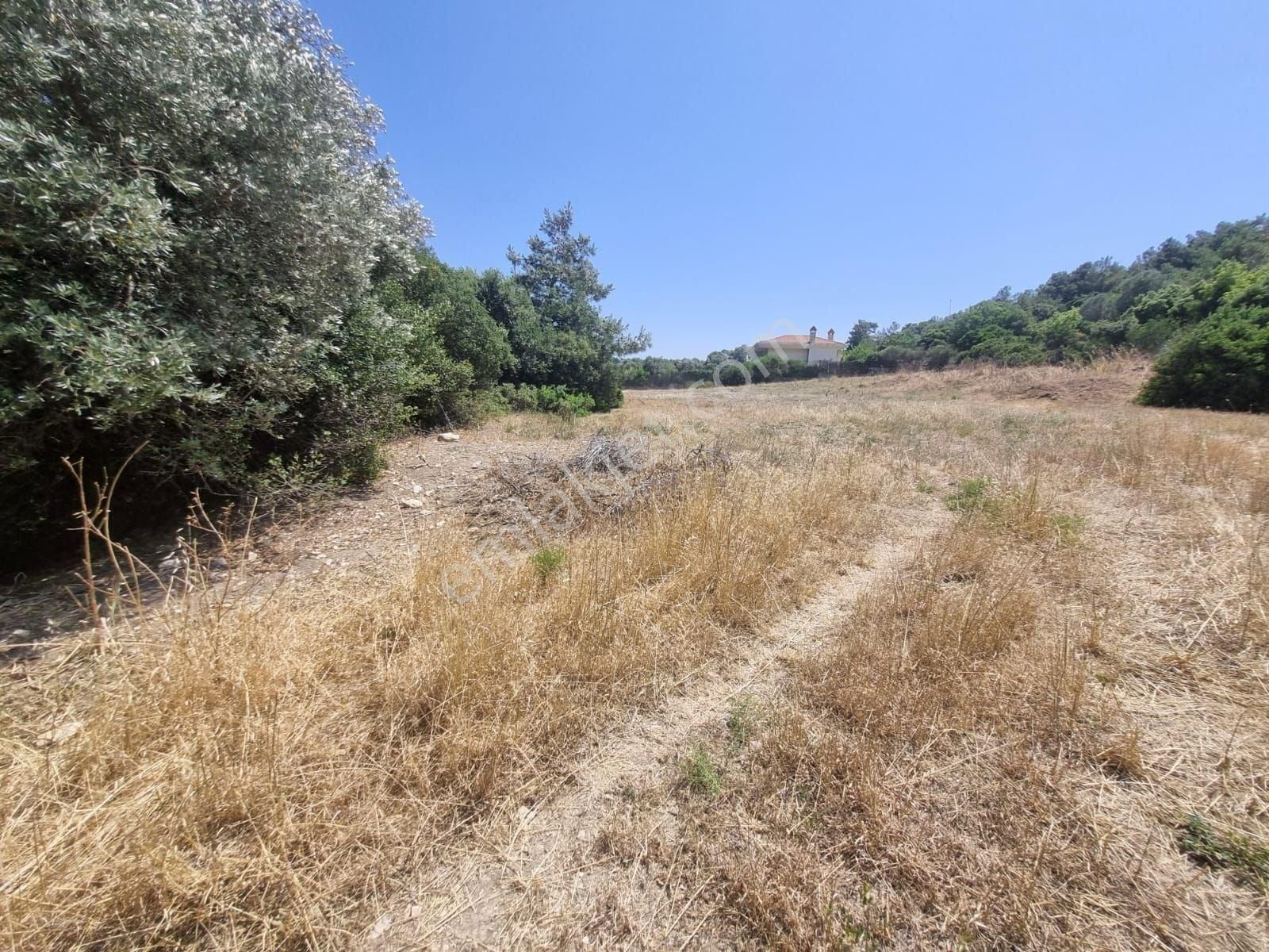 Urla İskele'de Denize Yakın Yatırımlık Arsa - Görsel 6