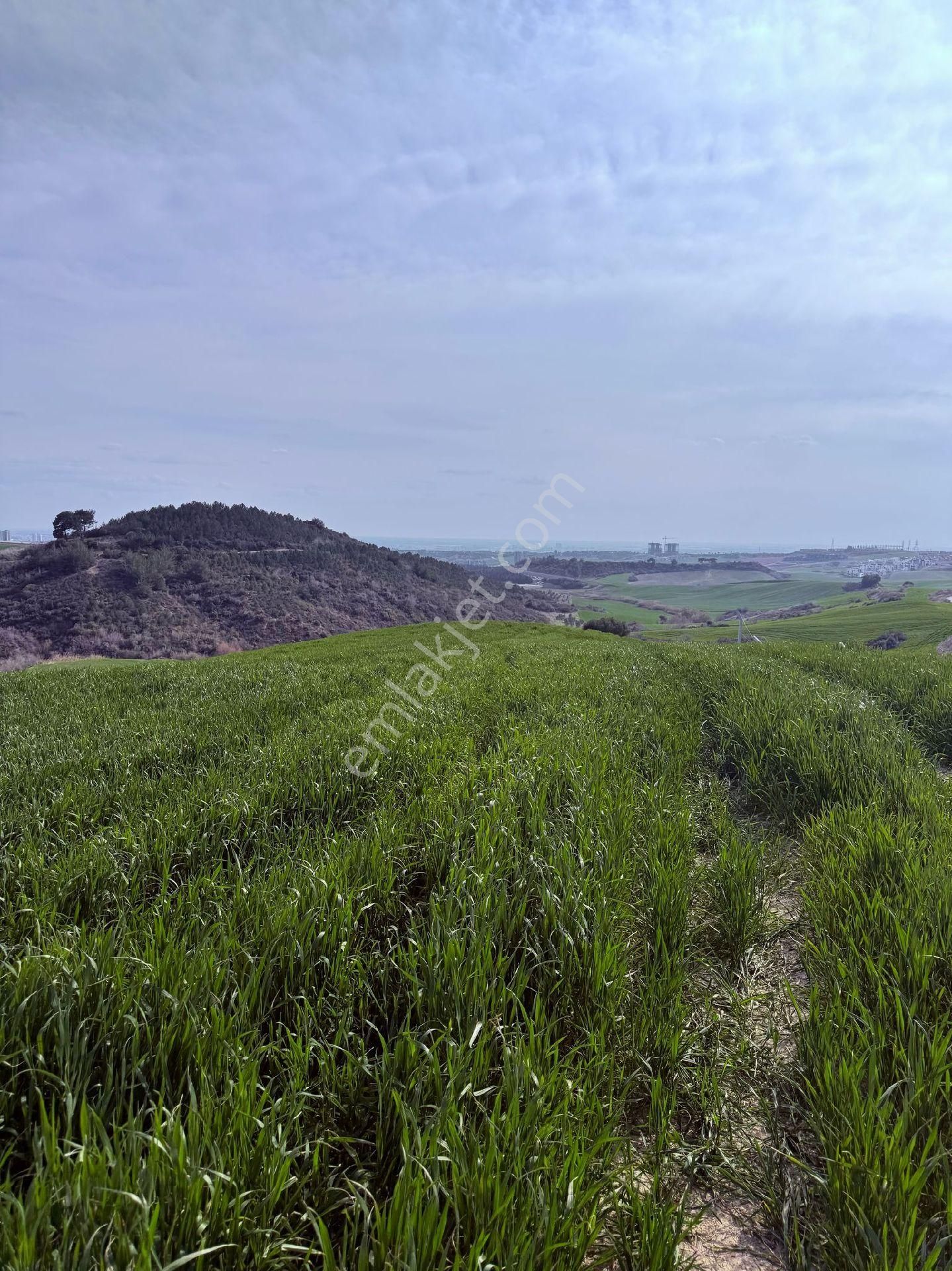 Kabasakal Rüzgarlı Tepe'de 216 M2 Villa İmarlı Hisse Satılık