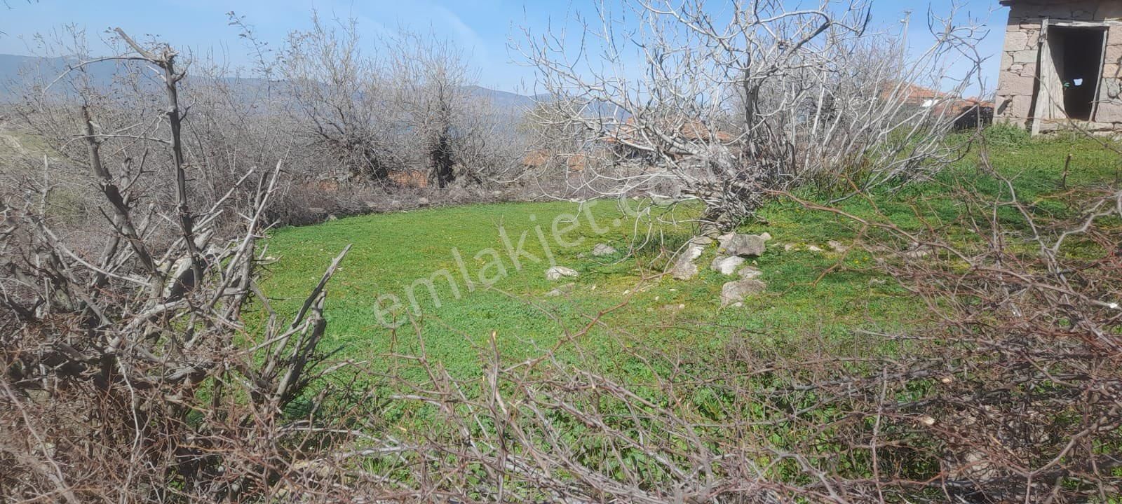 🏡 Durmuşlar Mahallesi Köy Evi - Görsel 2