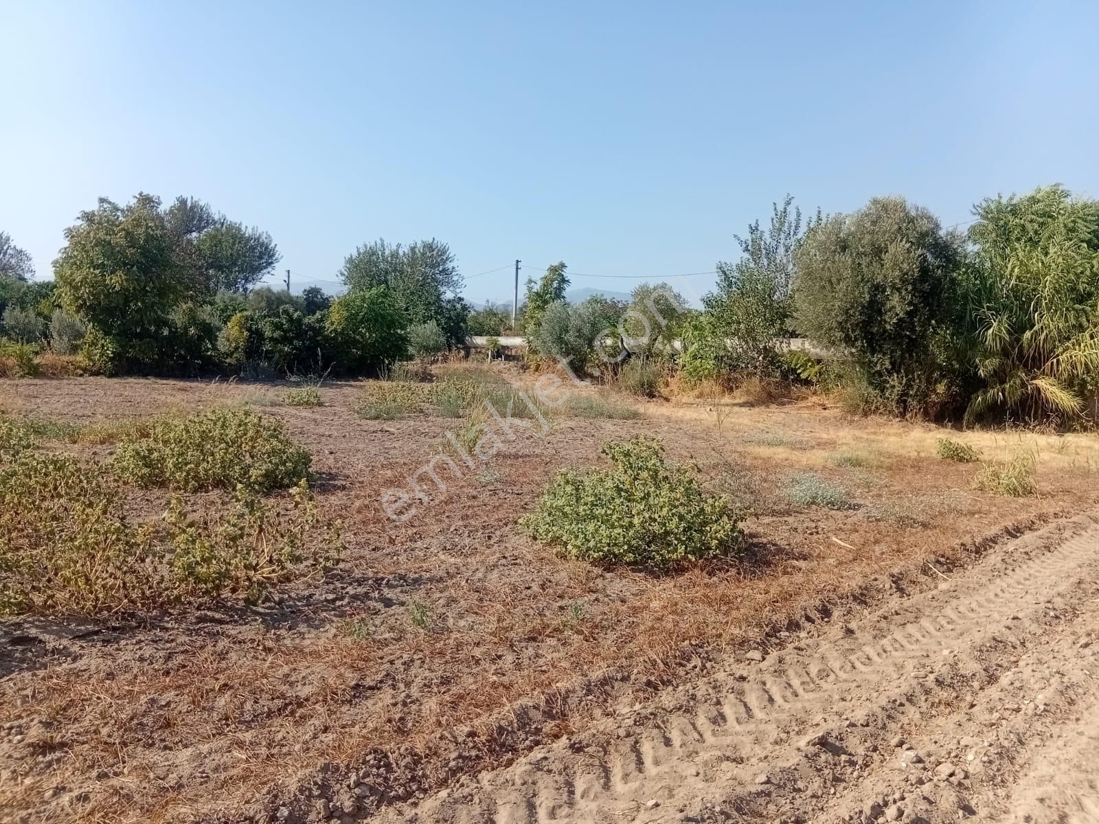 Hamzallı Köyüne Yakın Beşeylül Yolu Üzeri İdeal Bir Hobi Bahcesi...