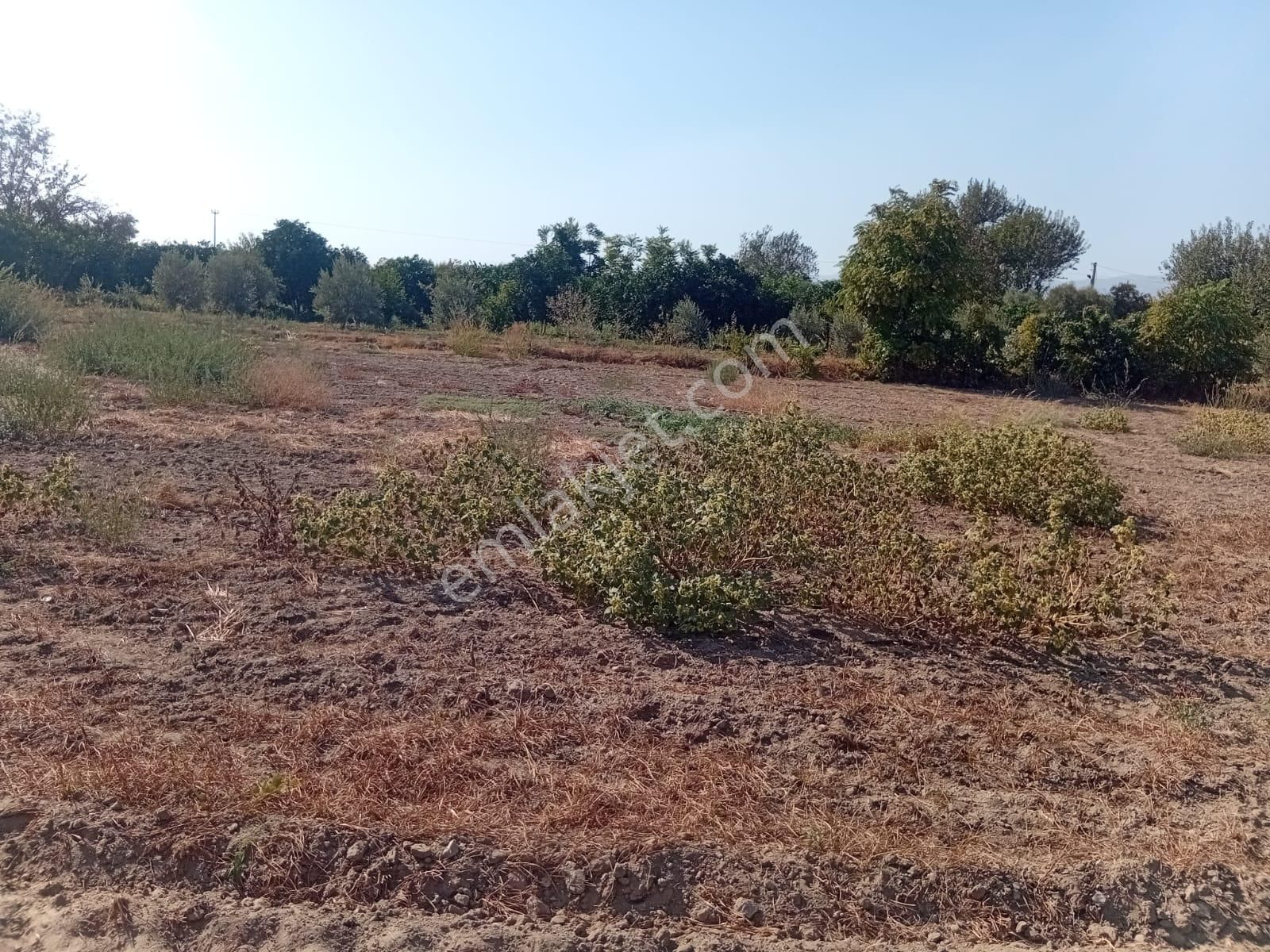 Hamzallı Köyüne Yakın Beşeylül Yolu Üzeri İdeal Bir Hobi Bahcesi... - Görsel 3