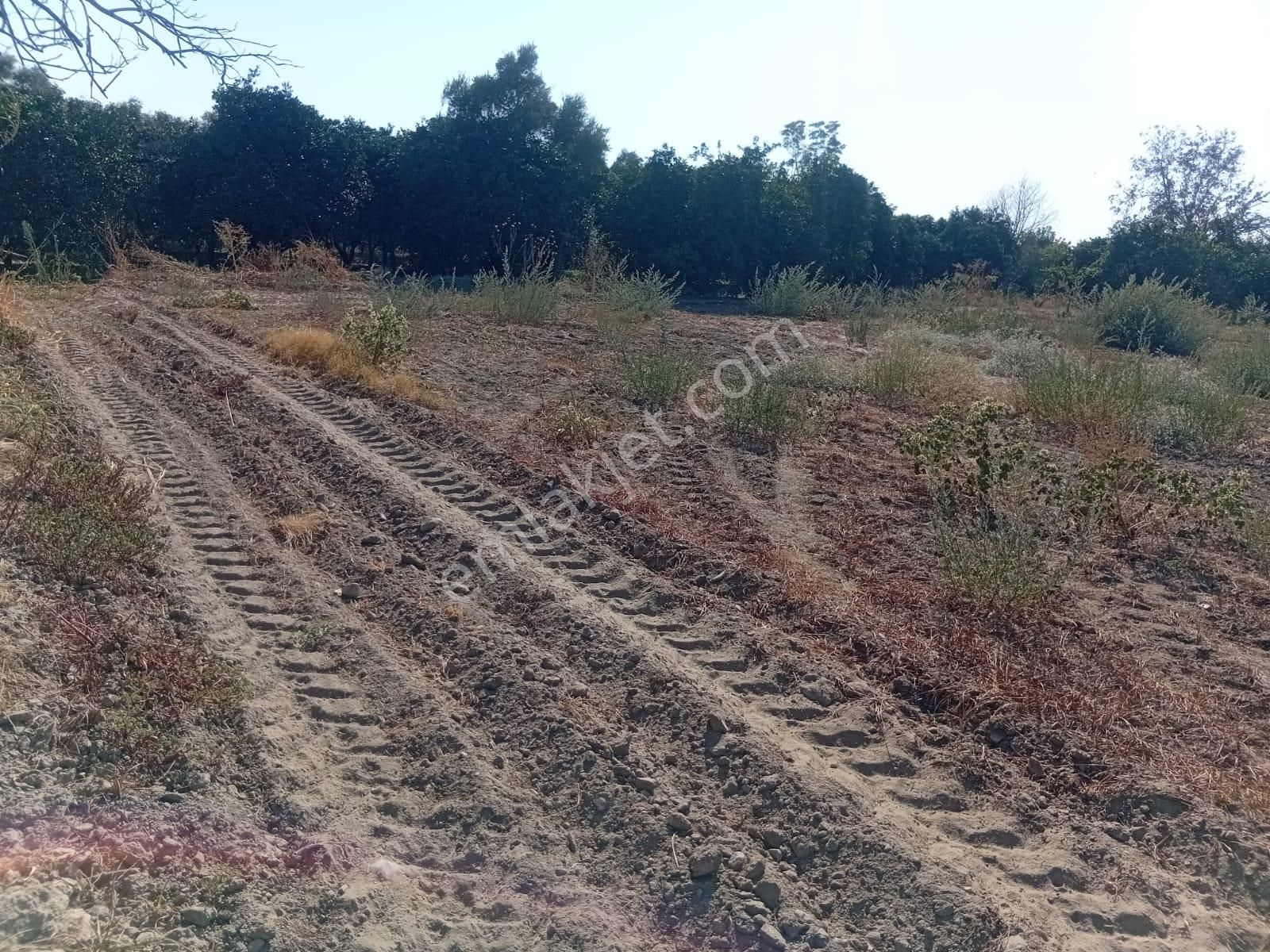 Hamzallı Köyüne Yakın Beşeylül Yolu Üzeri İdeal Bir Hobi Bahcesi... - Görsel 4