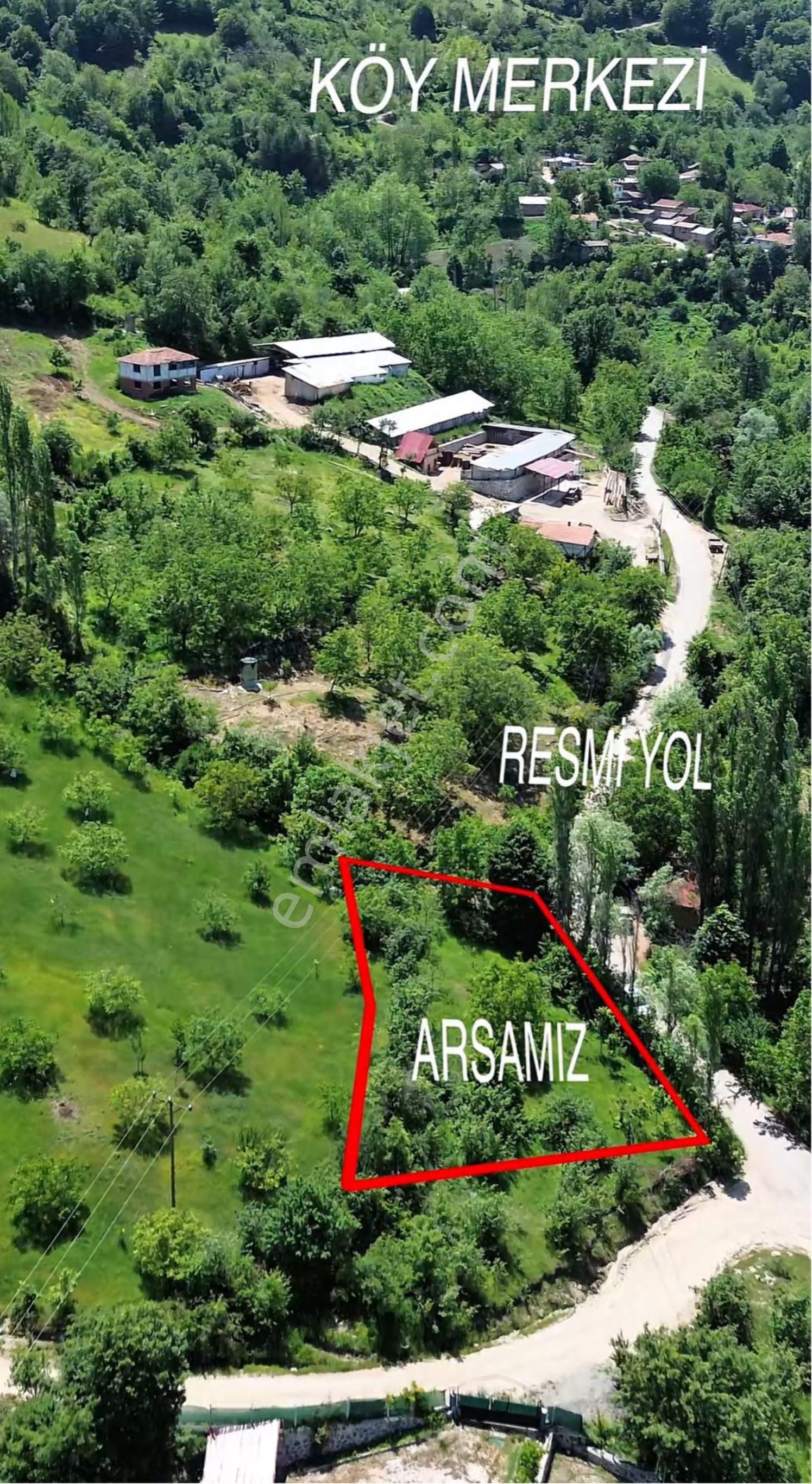 Sakarya Geyve Koru Mahallesi’nde İmara Sınır Asfalt Yola Cepheli Arsa