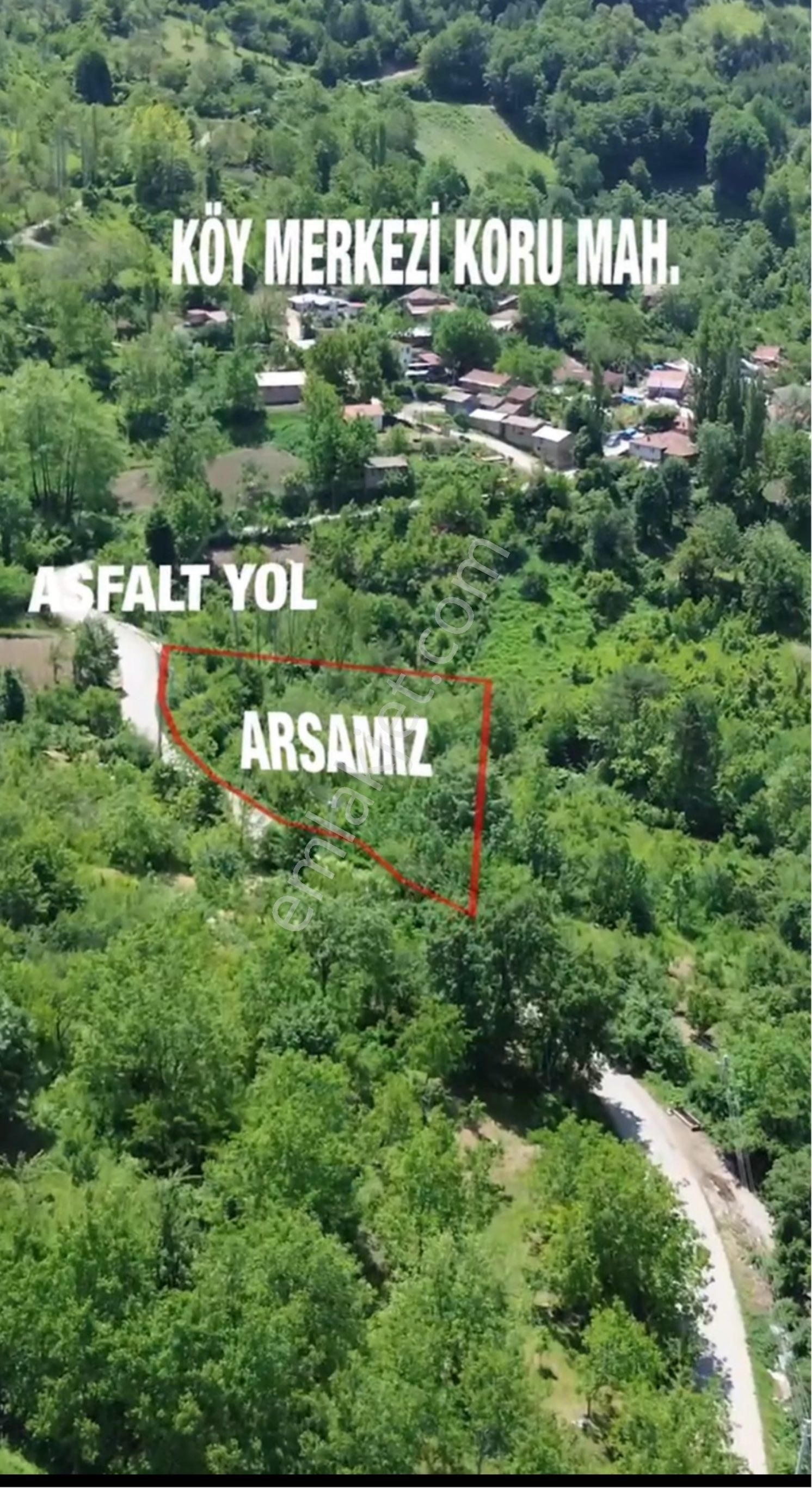 Sakarya Geyve Koru Mahallesi’nde Asfalt Yola Cepheli 2410m2 İmarlı Arsa